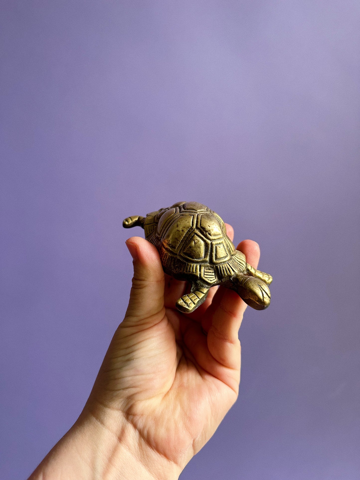 Vintage Brass Turtle Paperweight