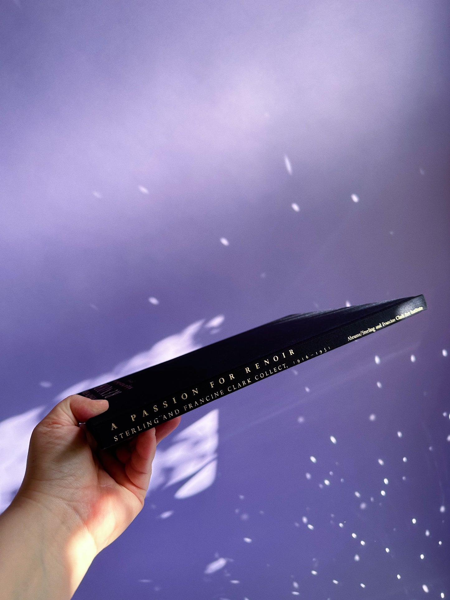 A Passion for Renoir: Sterling and Francine Clark Collect, 1916-1951