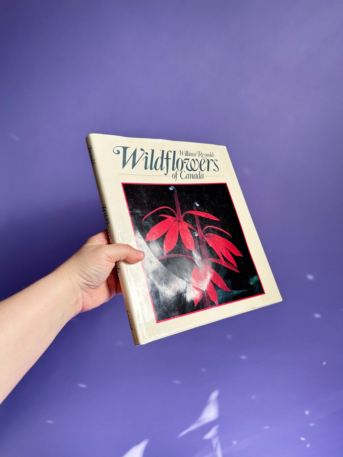 Vintage Wildflowers of Canada Hardcover Coffee Table Book