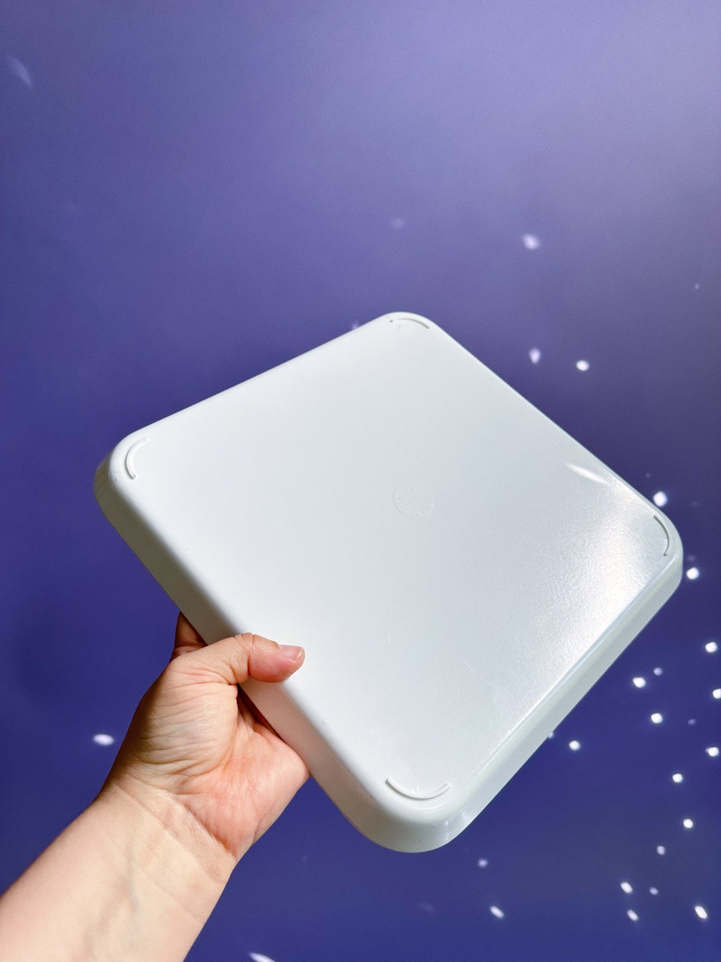 Vintage Wren Bird Melanine Tray / Platter