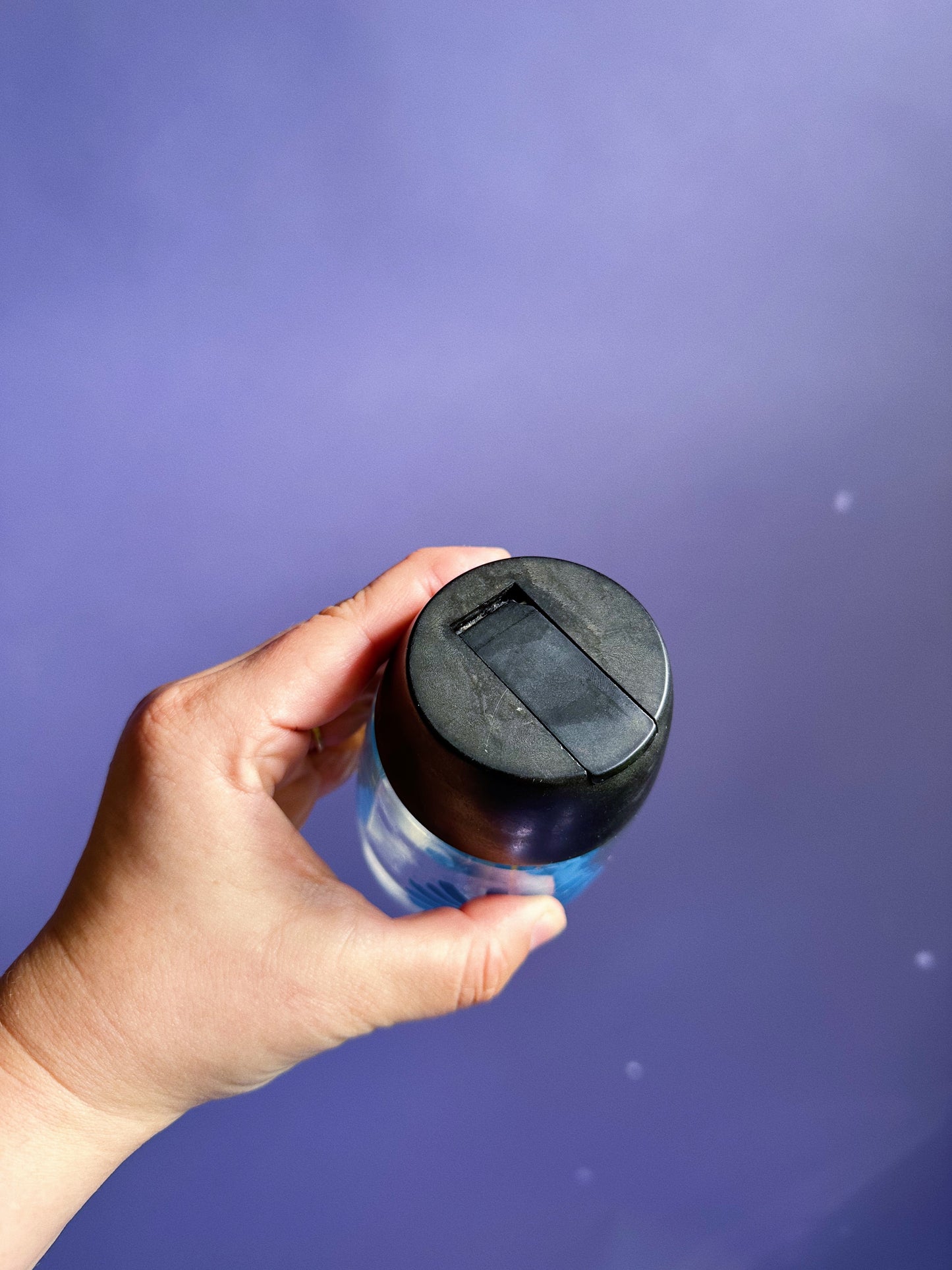 Vintage Van Pac Blue Flower Sugar Glass Container