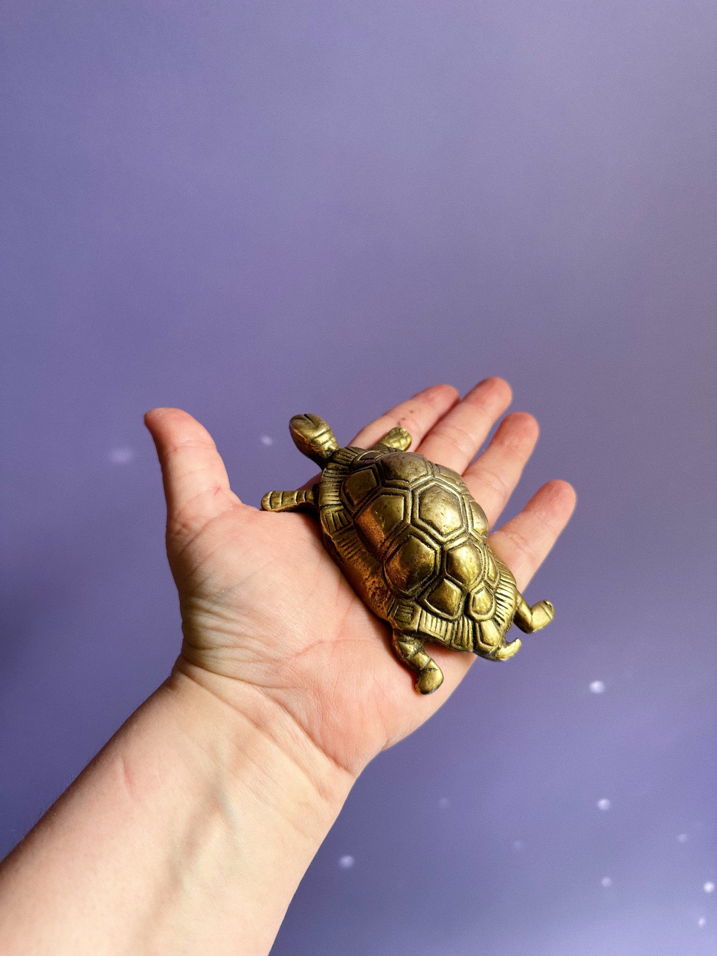 Vintage Brass Turtle Paperweight