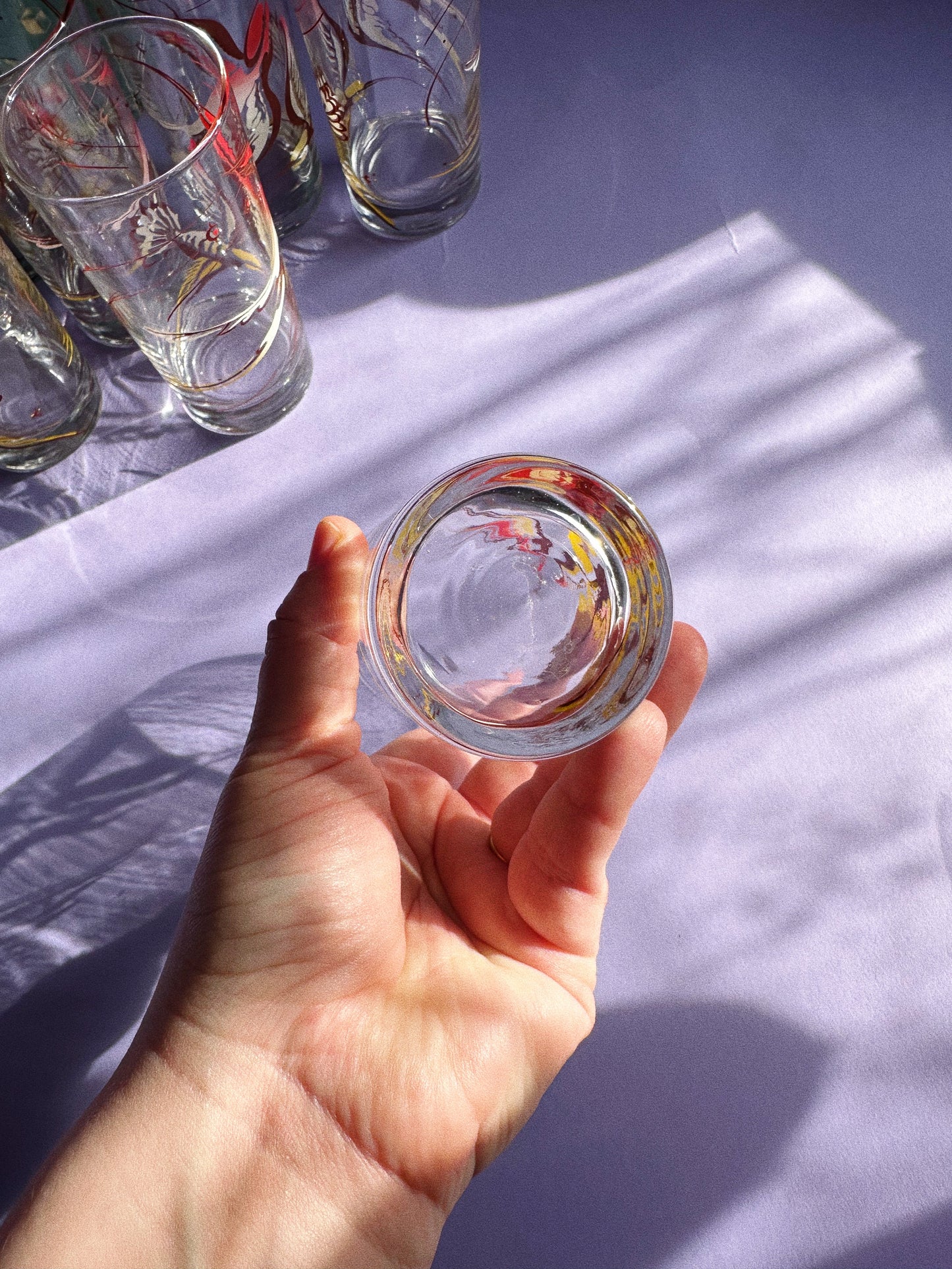 Vintage 1960s Cocktail Glass Set of 8, Red and Yellow Birds In Box Gaytime Glass