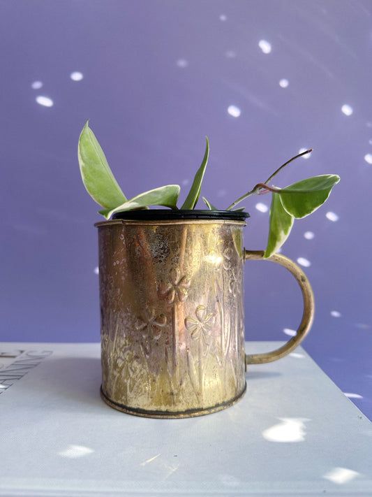 1980s Brass Floral Embossed “Watering Can” FTDA Planter