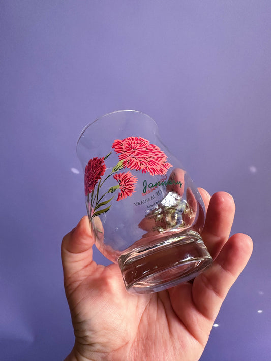 Vintage January Carnation Flower of the Month Glass Tumbler