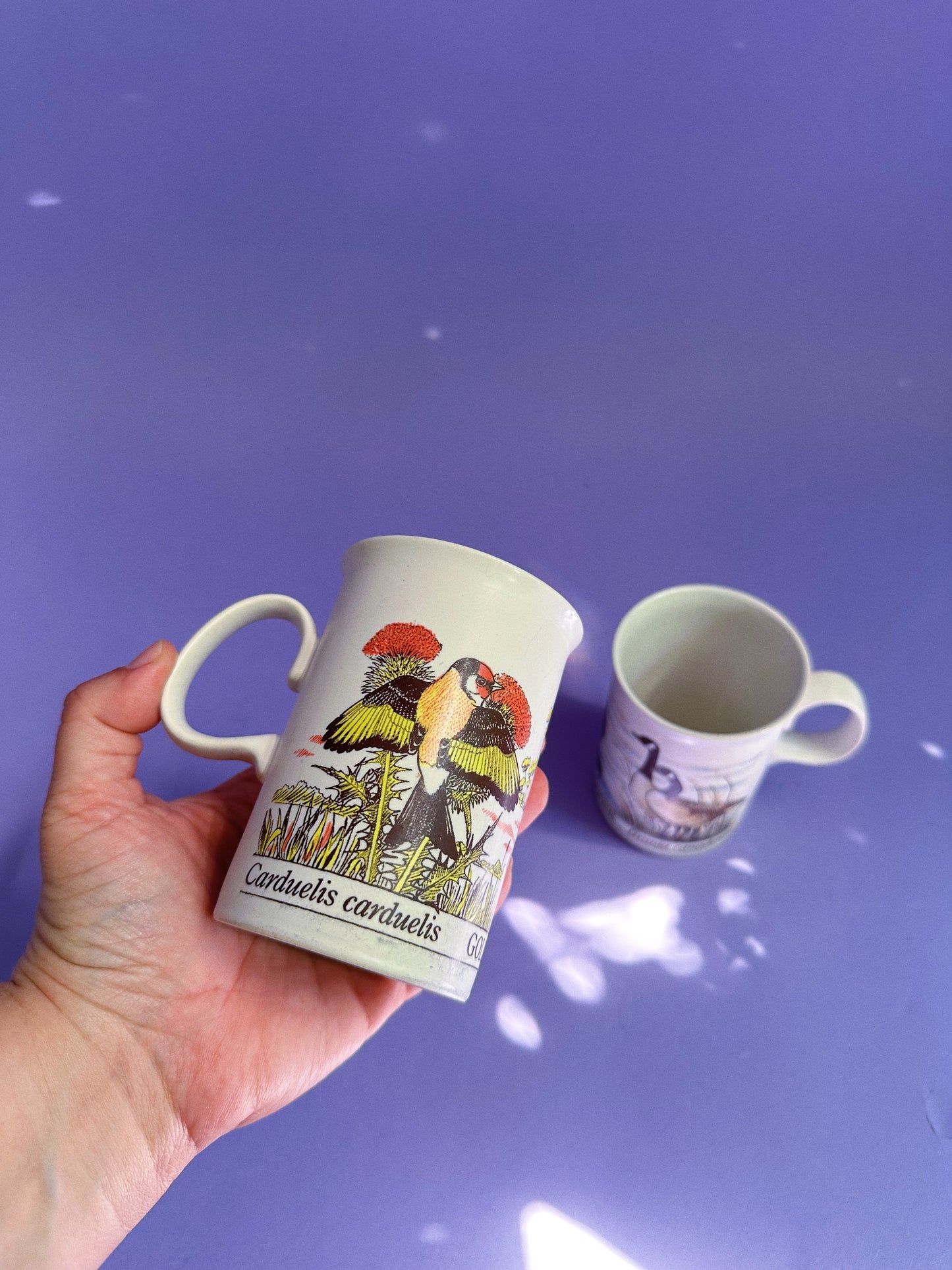 Dunoon Scotland Stoneware Coffee Tea Mugs Goldfinch and Canada Goose Birds