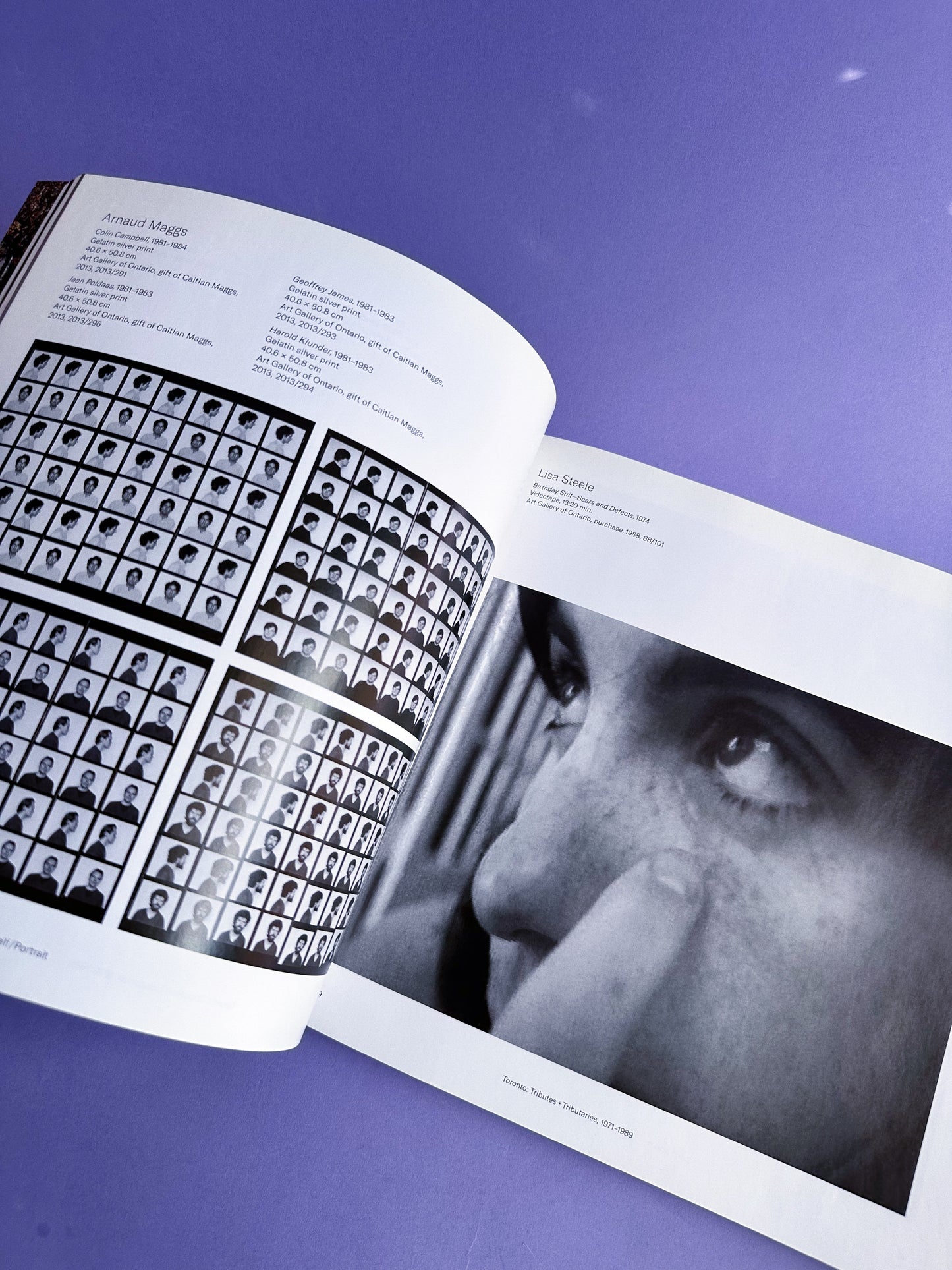 Toronto Tributes & Tributaries Coffee Table Book 1971 - 1989