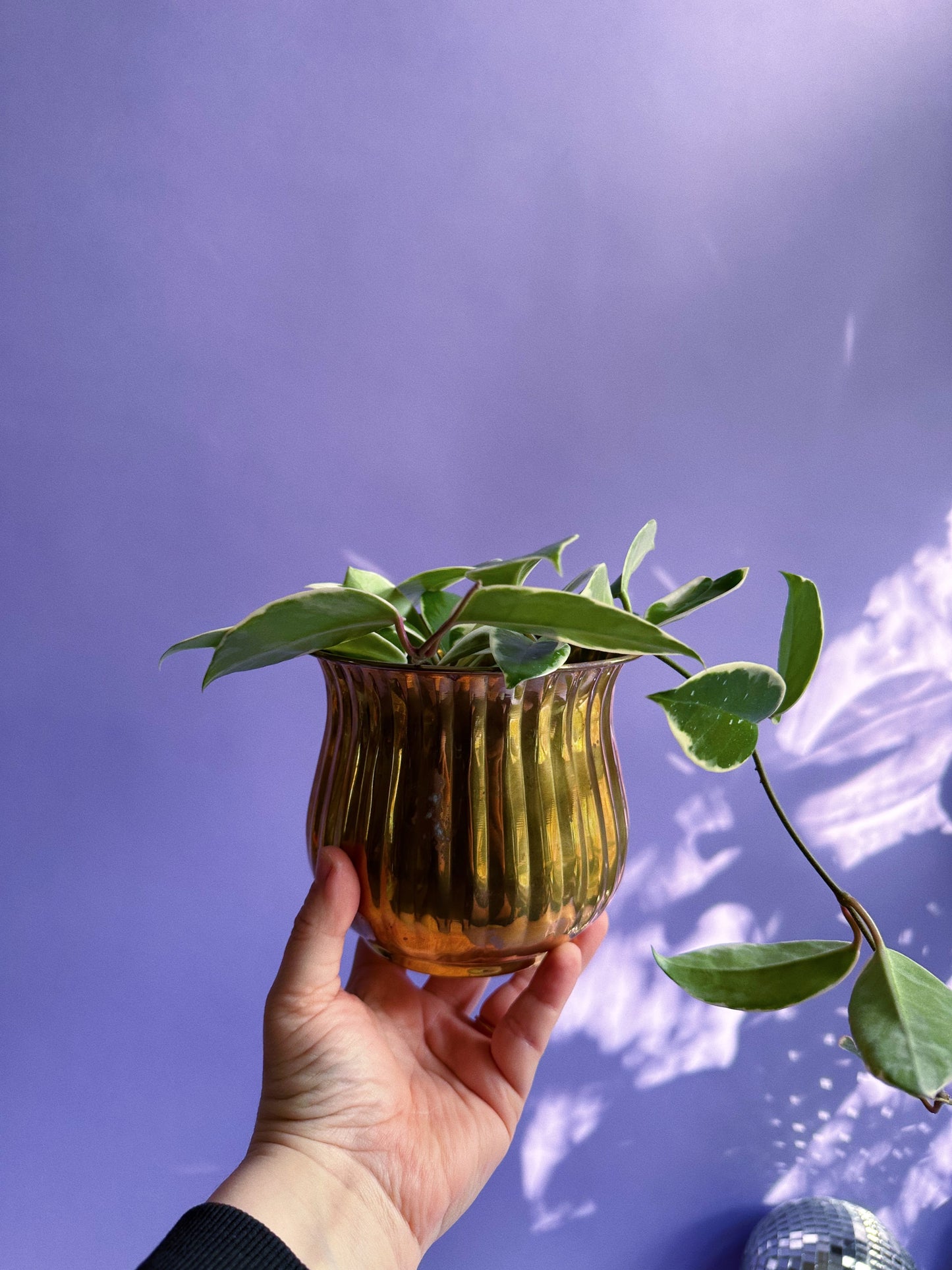 Vintage Brass Plant Cache Pot