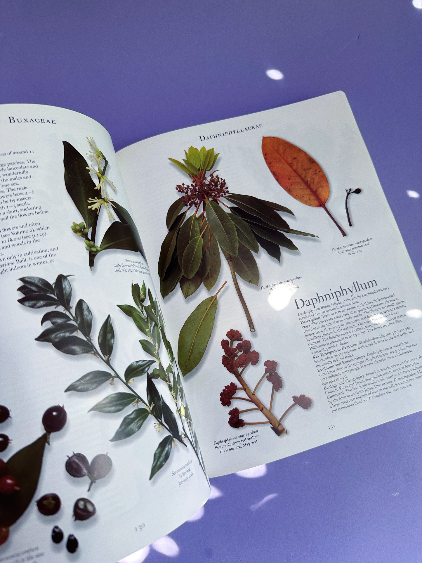 The Botanical Garden Trees & Shrubs Hardcover Coffee Table Book