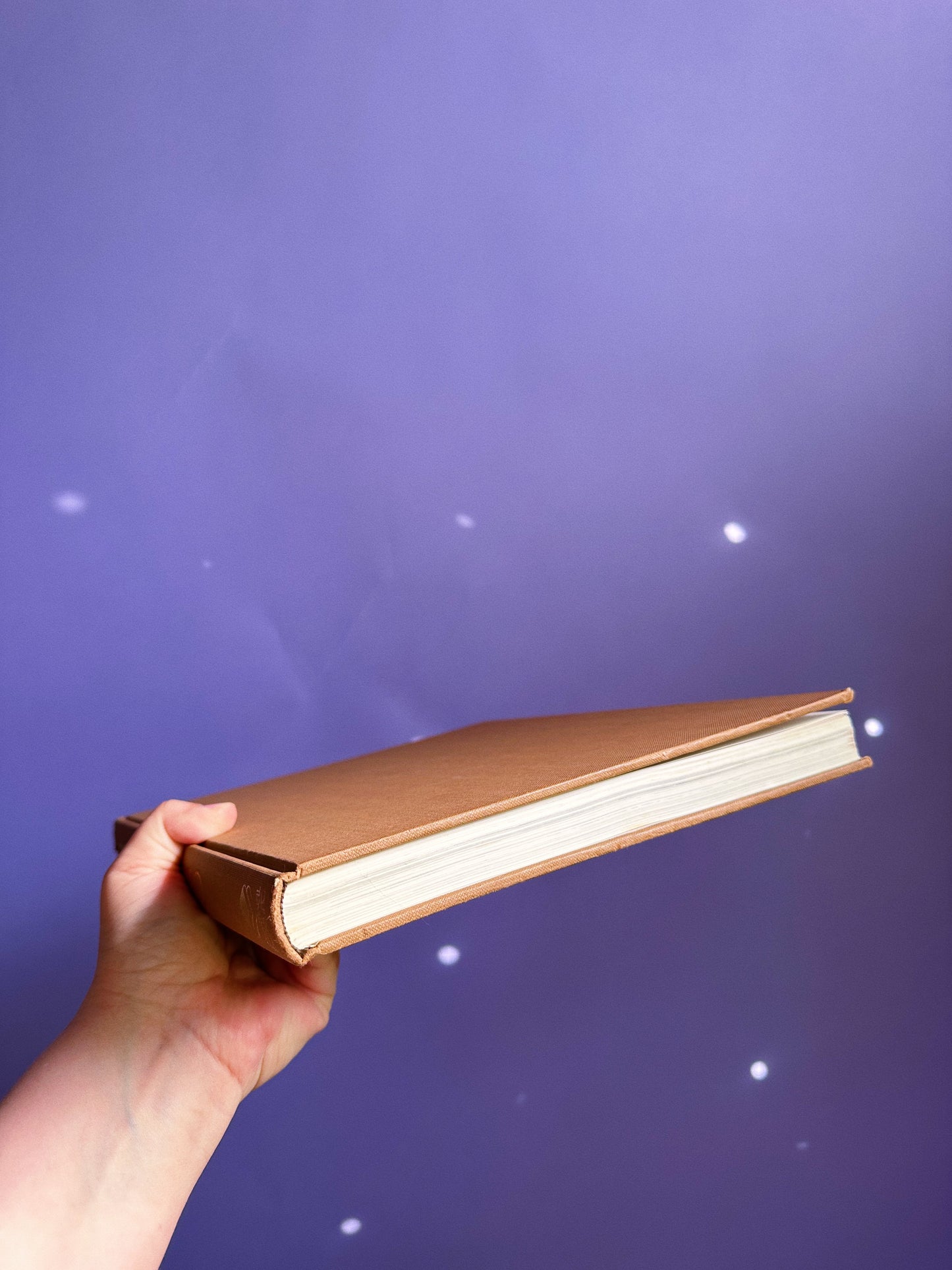 Vintage 1970s Michelangelo Hardcover Coffee Table Book