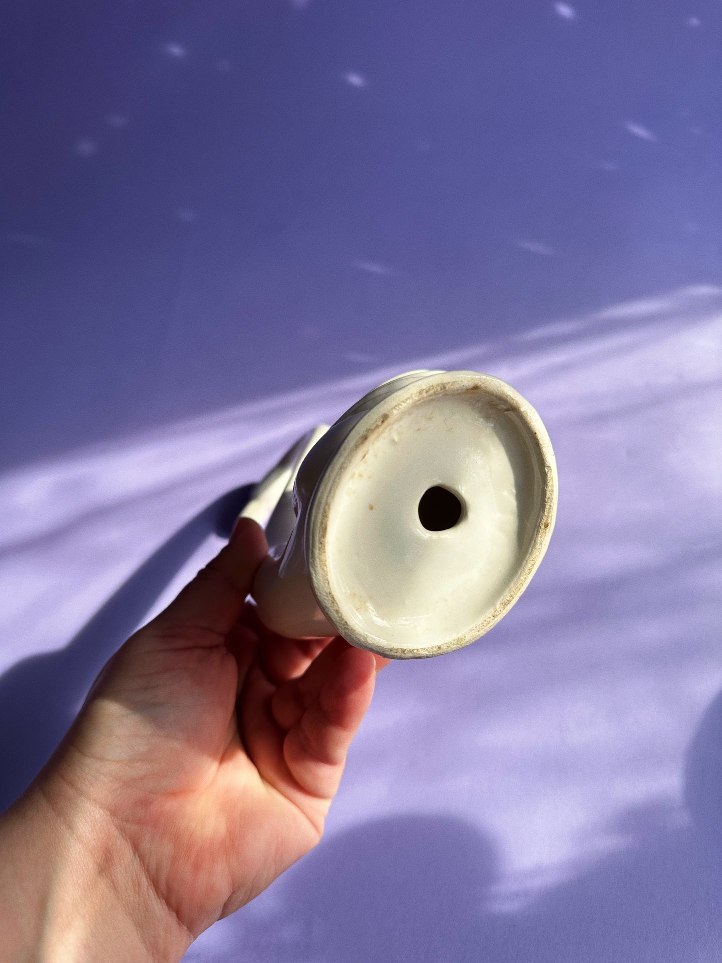 Graceful Vintage Maddox California White Swan