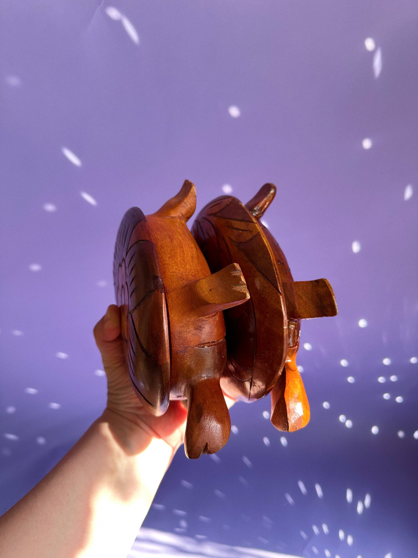 Vintage Large Handcarved Wooden Turtle Boxes