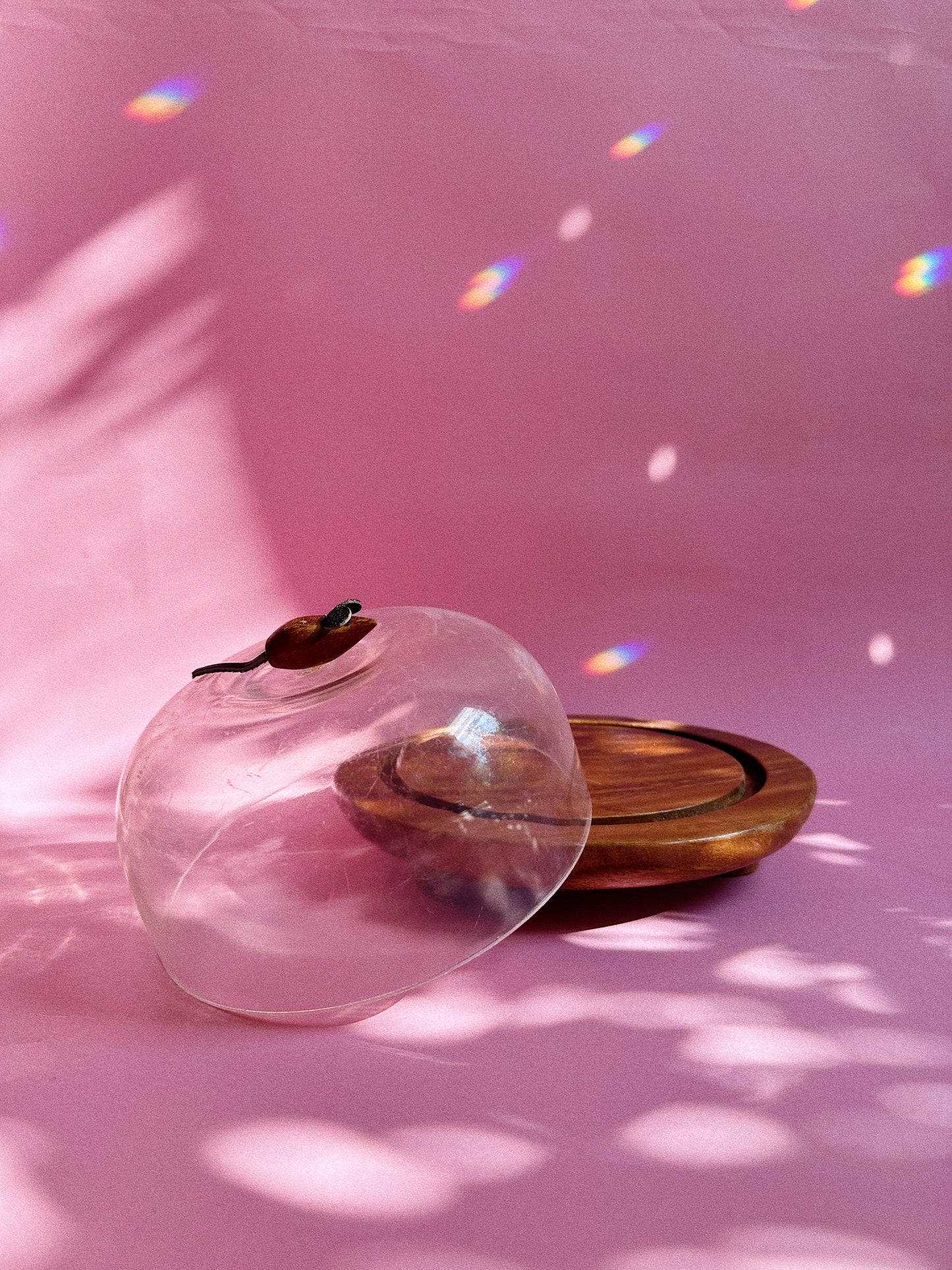 Vintage MCM Wood & Acrylic Cheese Plate w/ Wooden Mouse