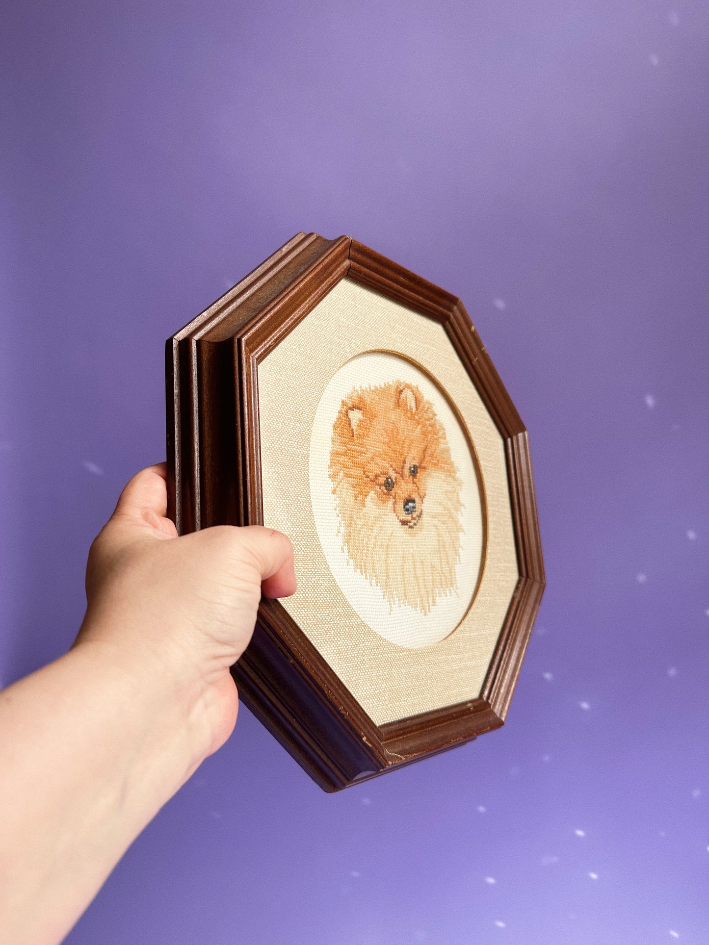 Vintage Framed Dog Cross Stitch