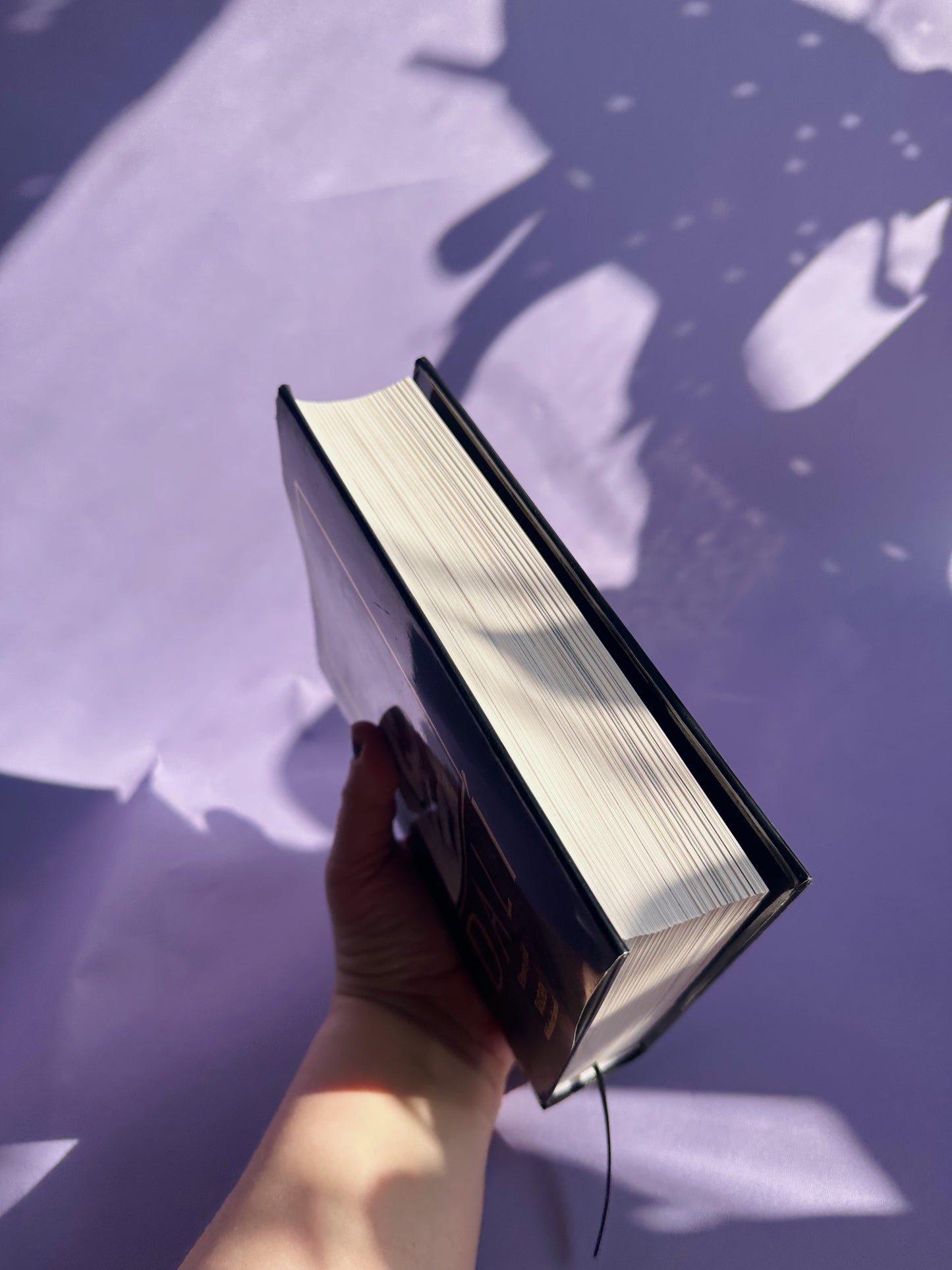 French Salvador Dali Taschen Hardcover Coffee Table Book