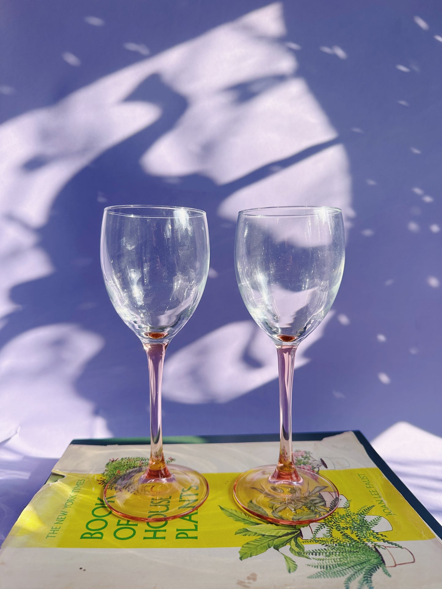 Vintage Pinn Stemmed Wine Glass Pair