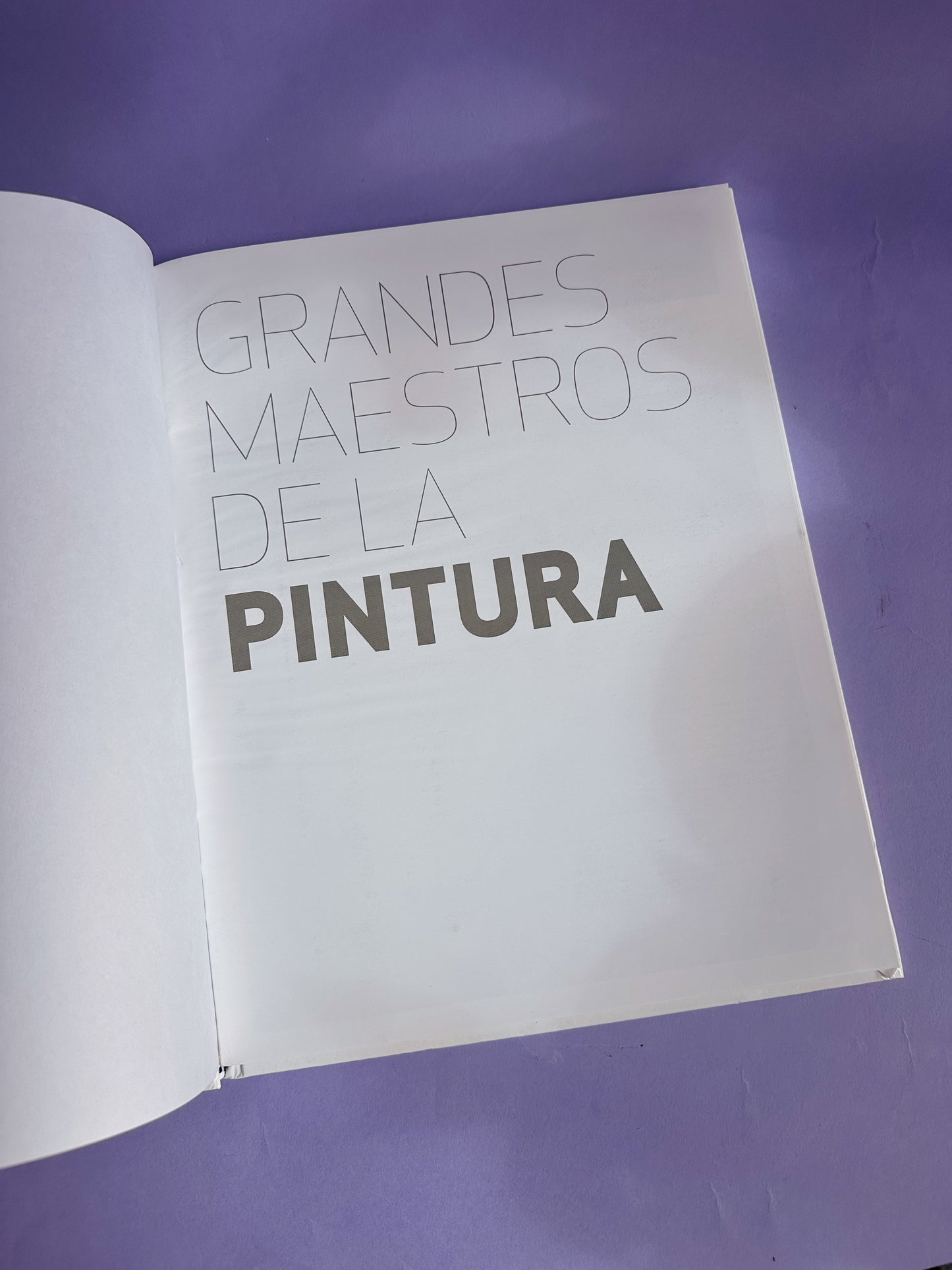 Grandes Maestros de la Pintura Pablo Picasso Art Hardcover Coffee Table Book