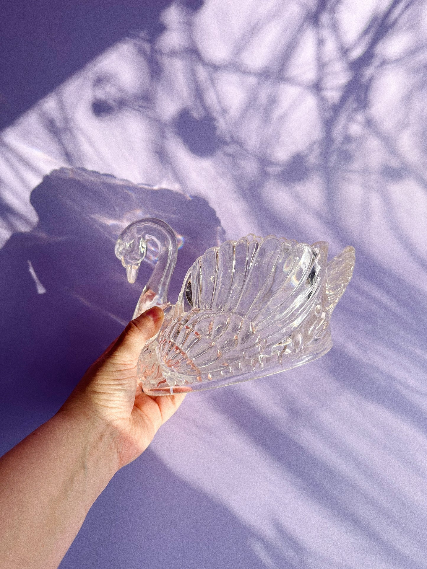 Vintage Regaline Plastic Lucite Clear Swan