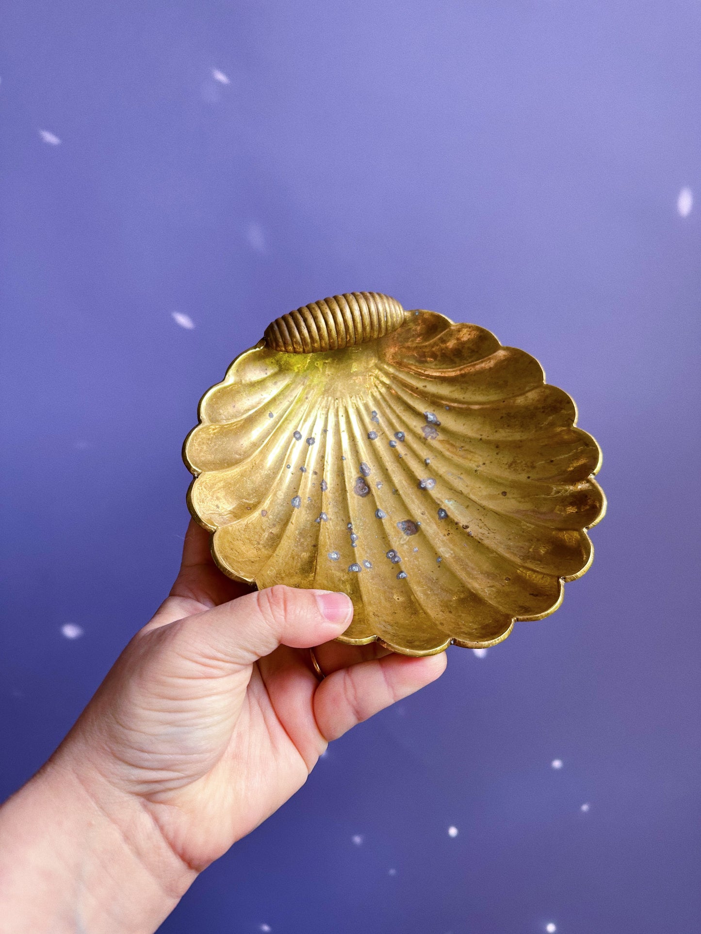 Heavy Brass Shell Throw Dish