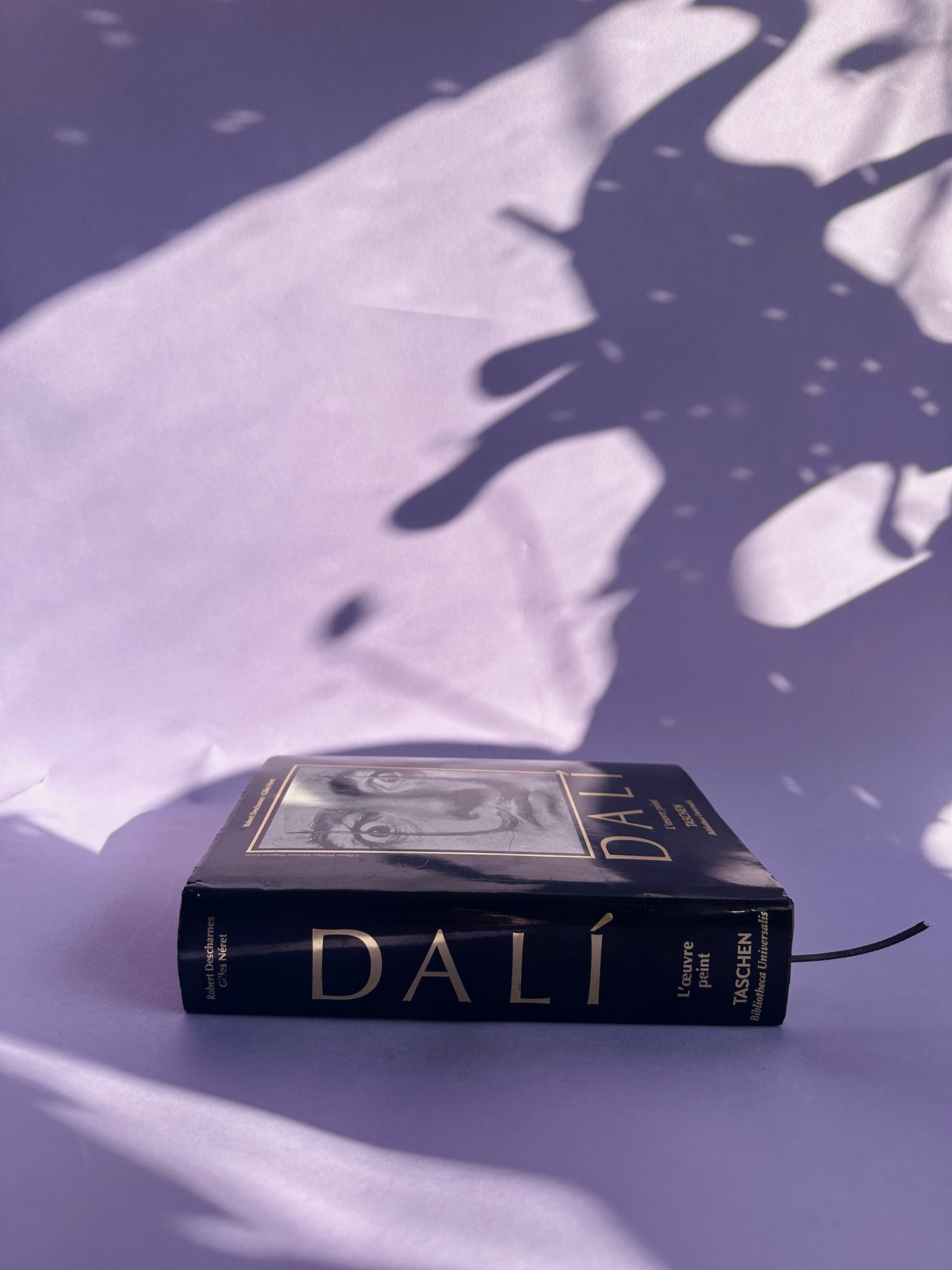 French Salvador Dali Taschen Hardcover Coffee Table Book