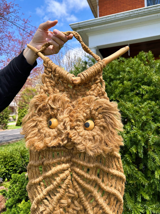 Vintage Macrame Owl Wall Hanging Decor Large Jute 1970s