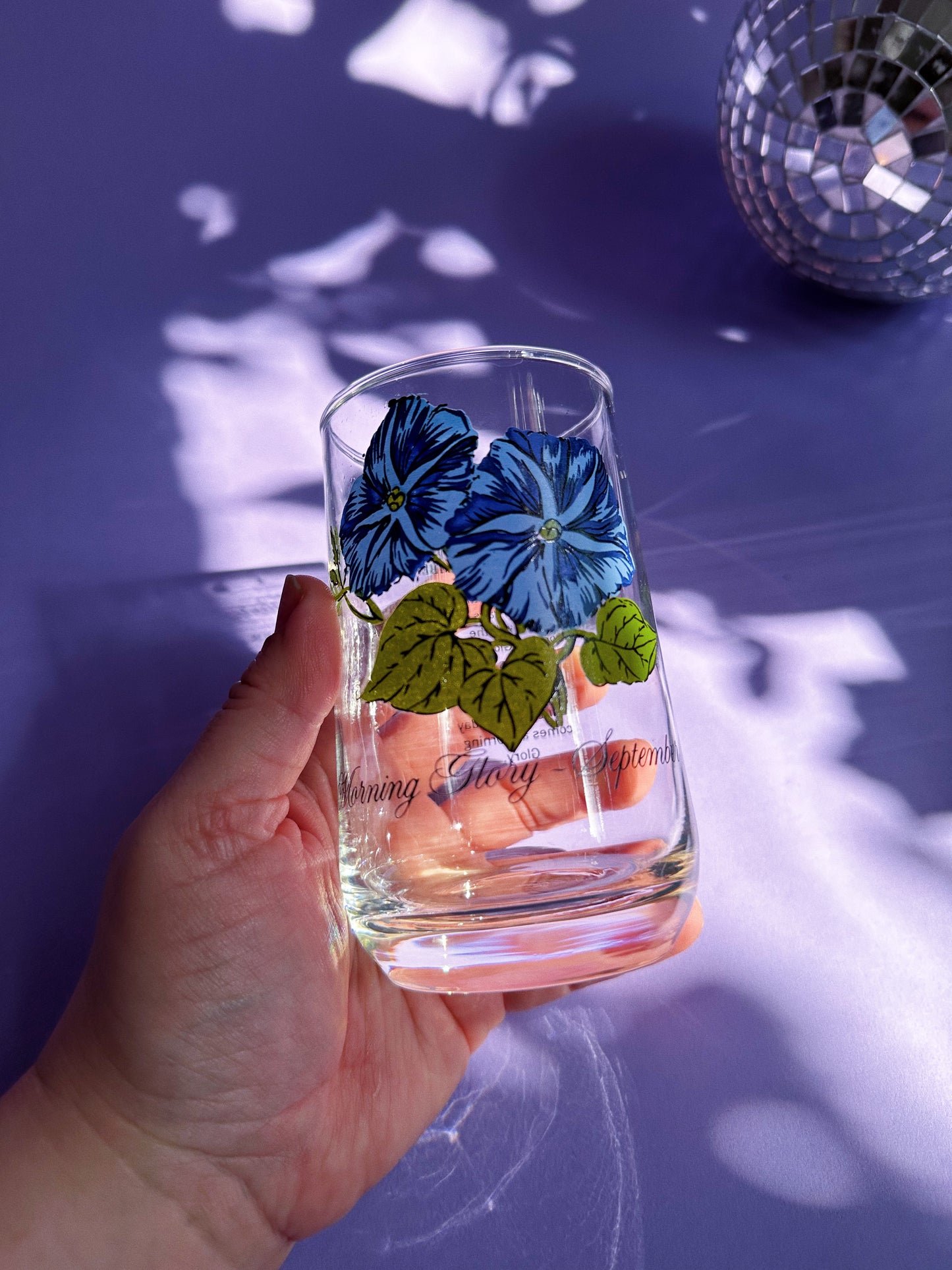 Vintage Floral Brockway Morning Glory September Medium Glass Tumblers