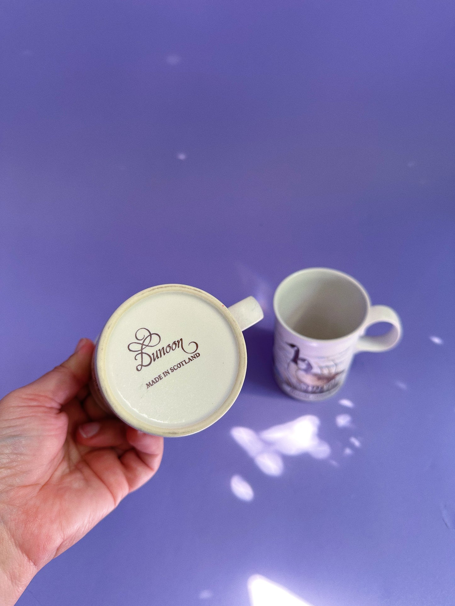 Dunoon Scotland Stoneware Coffee Tea Mugs Goldfinch and Canada Goose Birds