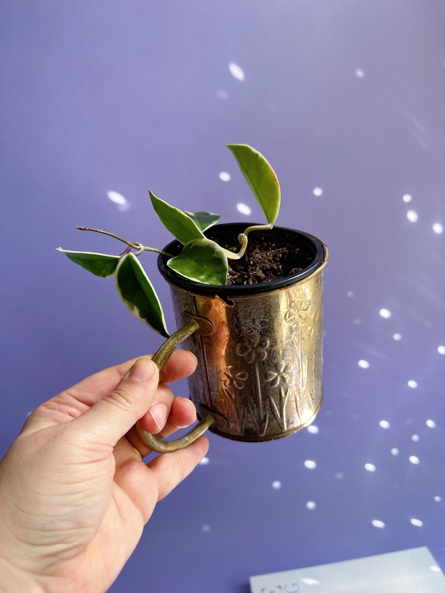 1980s Brass Floral Embossed “Watering Can” FTDA Planter
