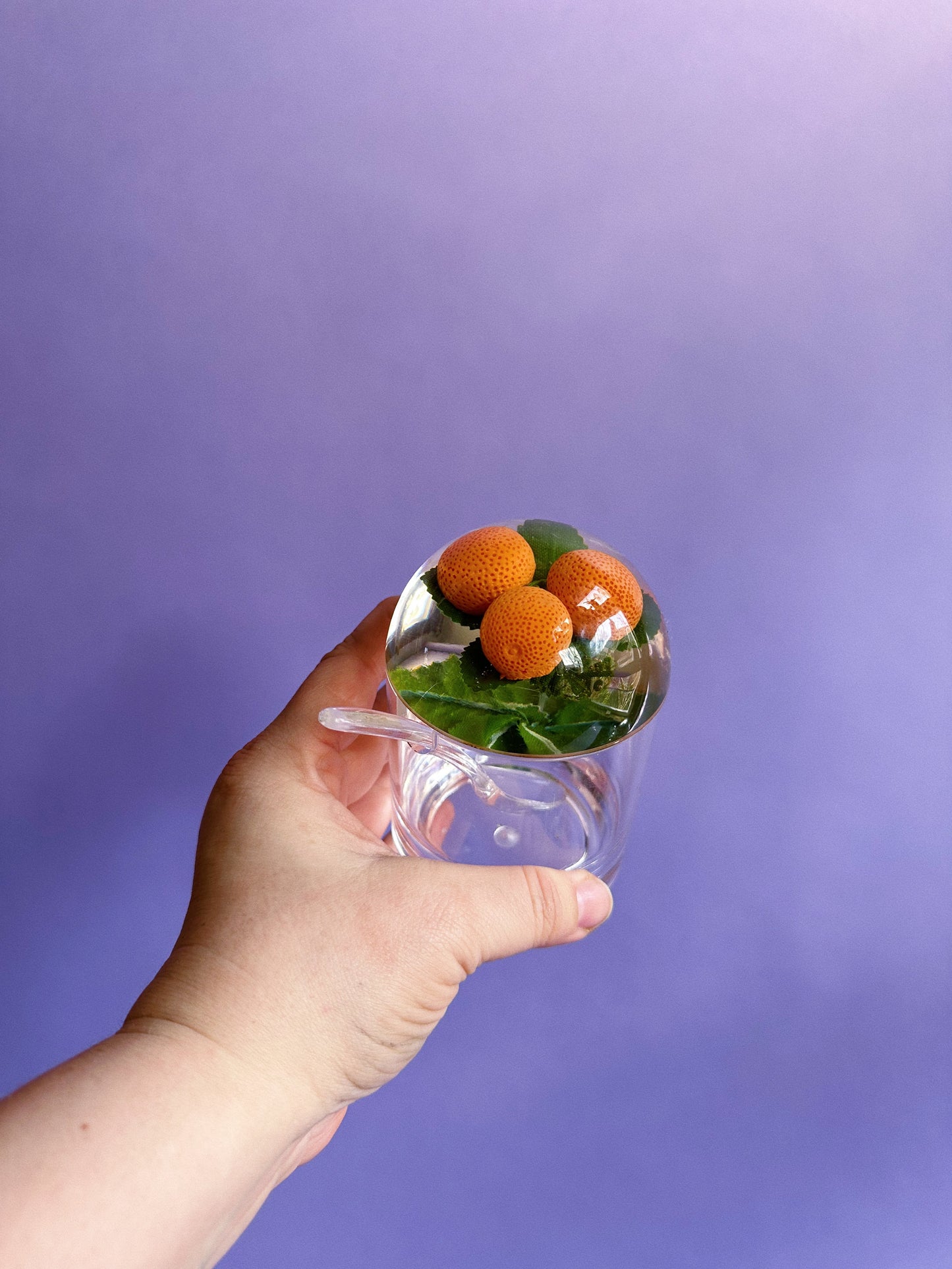 Vintage Set of 4 Lucite & Acrylic Jam Jars w/ 3 Spoons, Oranges and Berries