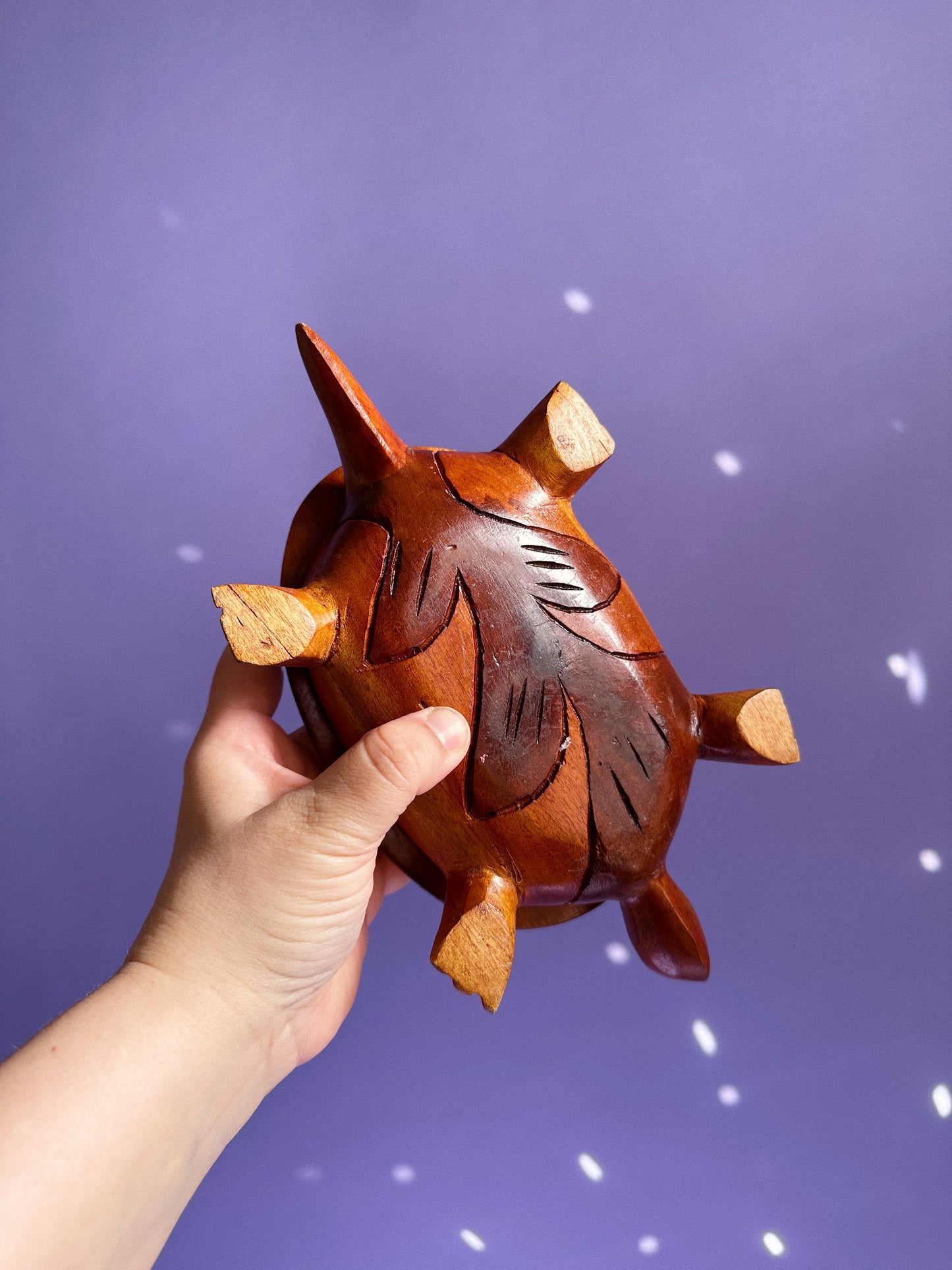 Vintage Large Handcarved Wooden Turtle Boxes