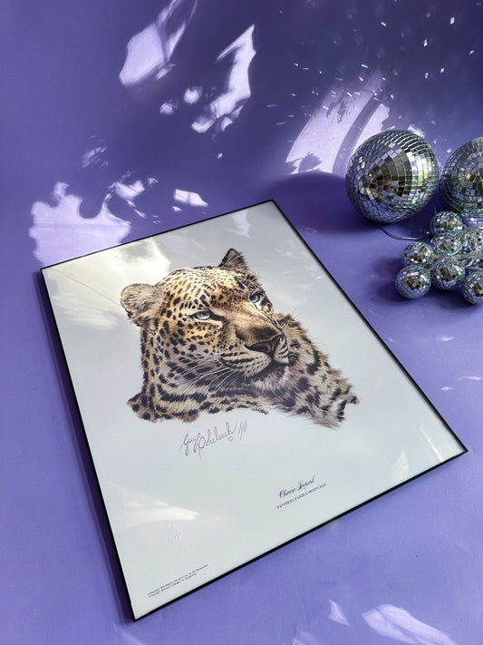 Framed Vintage Chinese Leopard Head Art Guy Coheleach Print Matted Signed