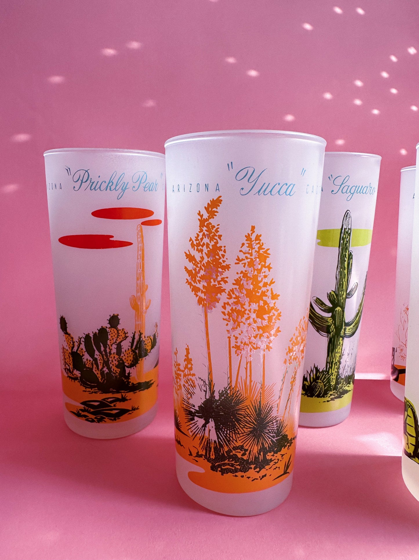 Vintage MCM Blakely Oil & Gas Arizona Frosted 5 Tumbler Glasses & Pitcher Cacti