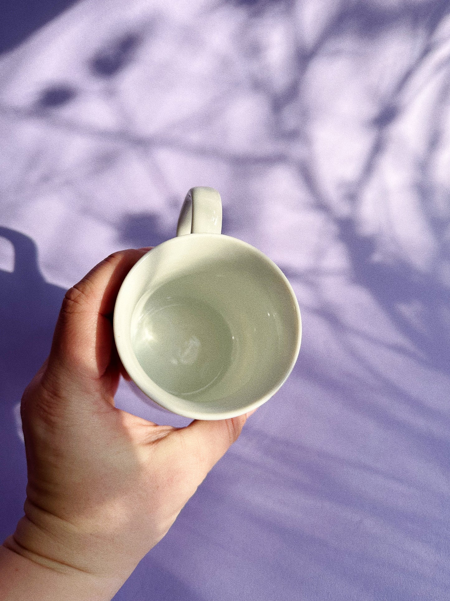 Vintage Strawberry Shortcake Ceramic Mug