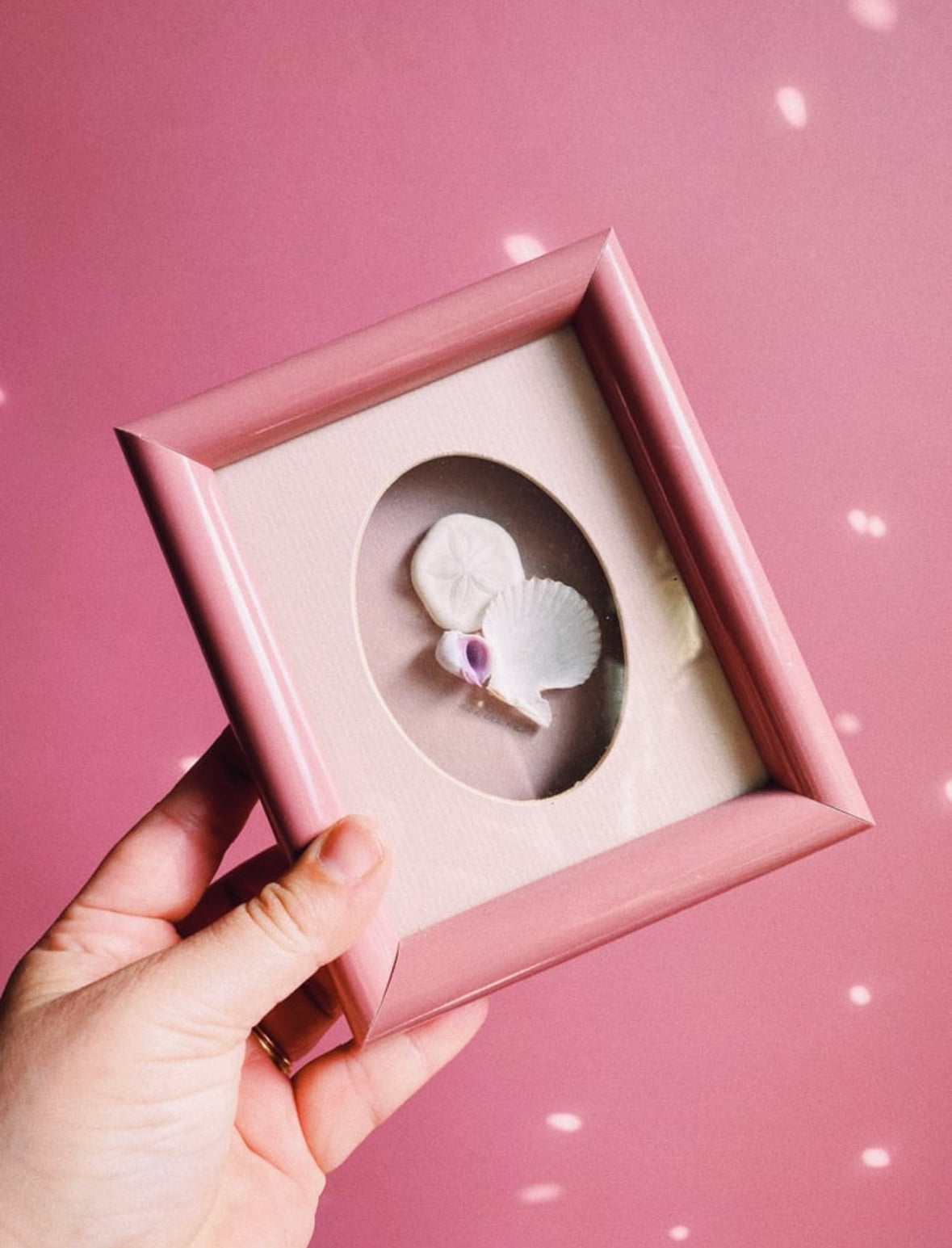 Vintage Dusty Rose Matte Framed Seashell Art