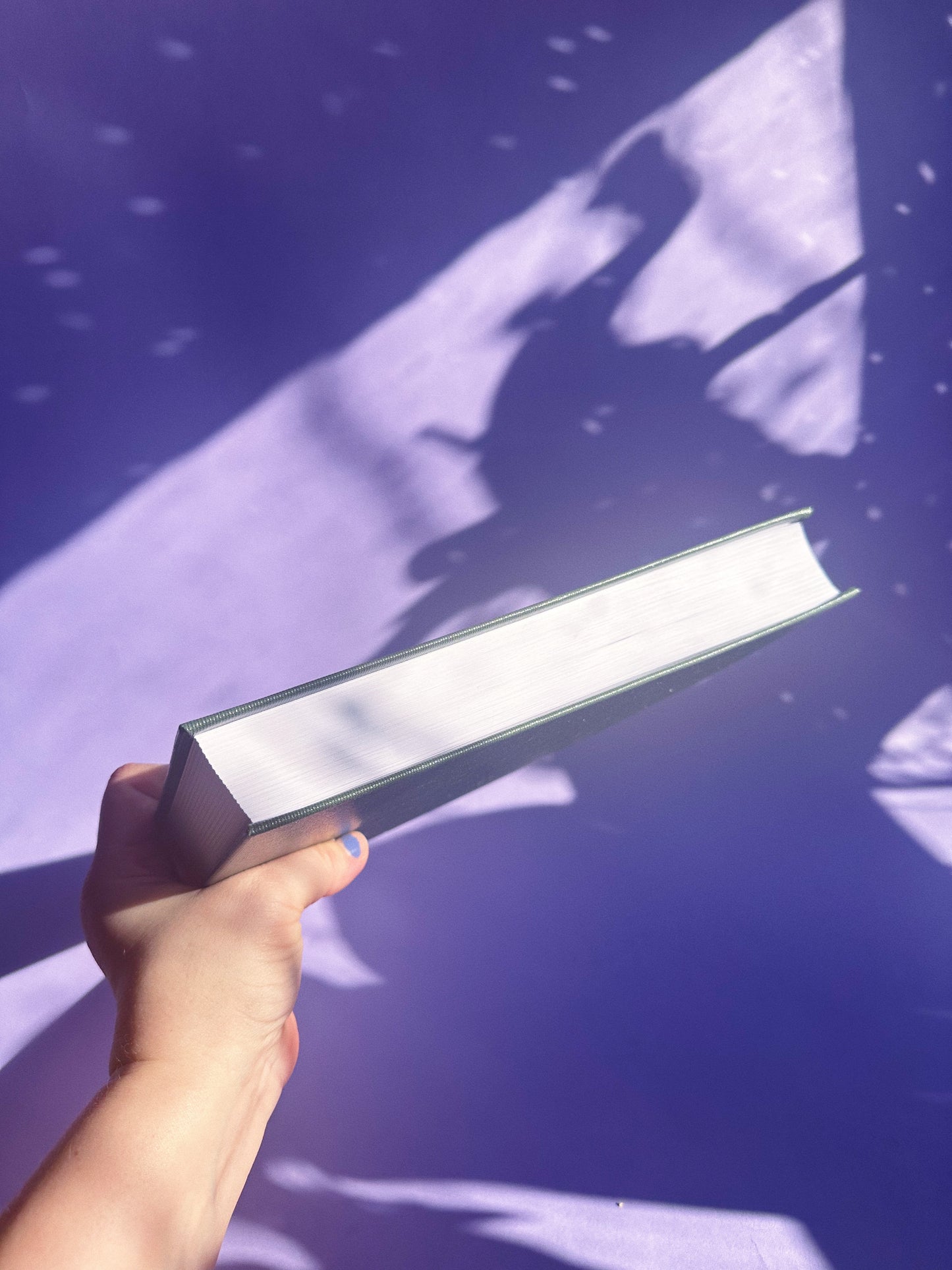 Gardener’s Journal A Ten Year Chronicle Of Your Garden Robert R Lunan Lee Valley