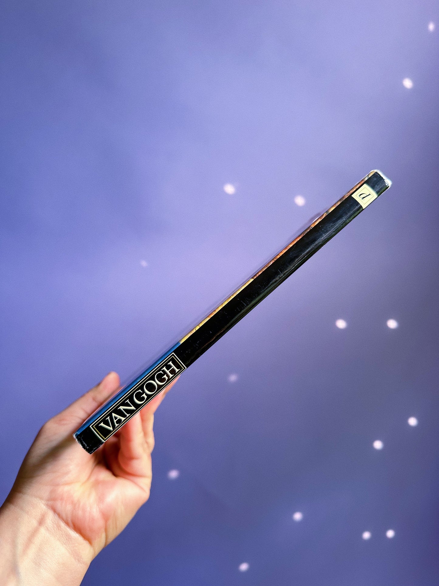 Vintage Life & Works Of Picasso & Van Gogh Square Collectable Hardcover Books