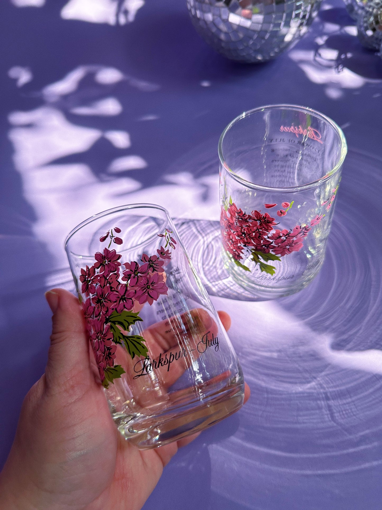 Vintage Floral Brockway Larkspur July Glass Tumblers