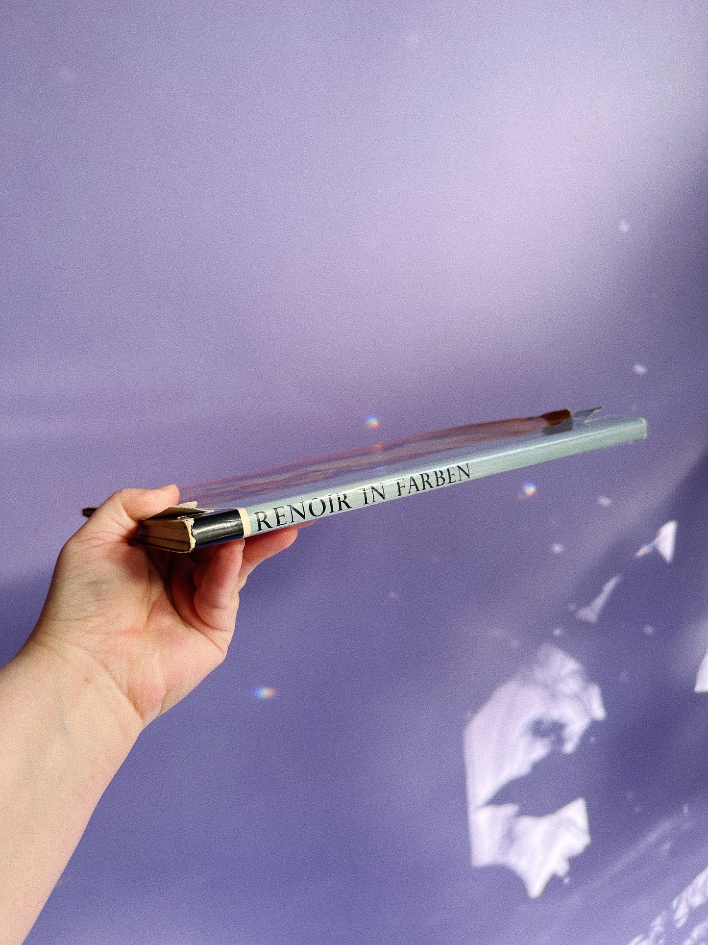 Vintage Renoir Phaidon Coffee Table Book