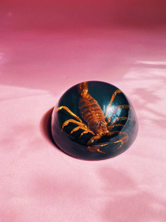 Vintage MCM Scorpion Paper Weight