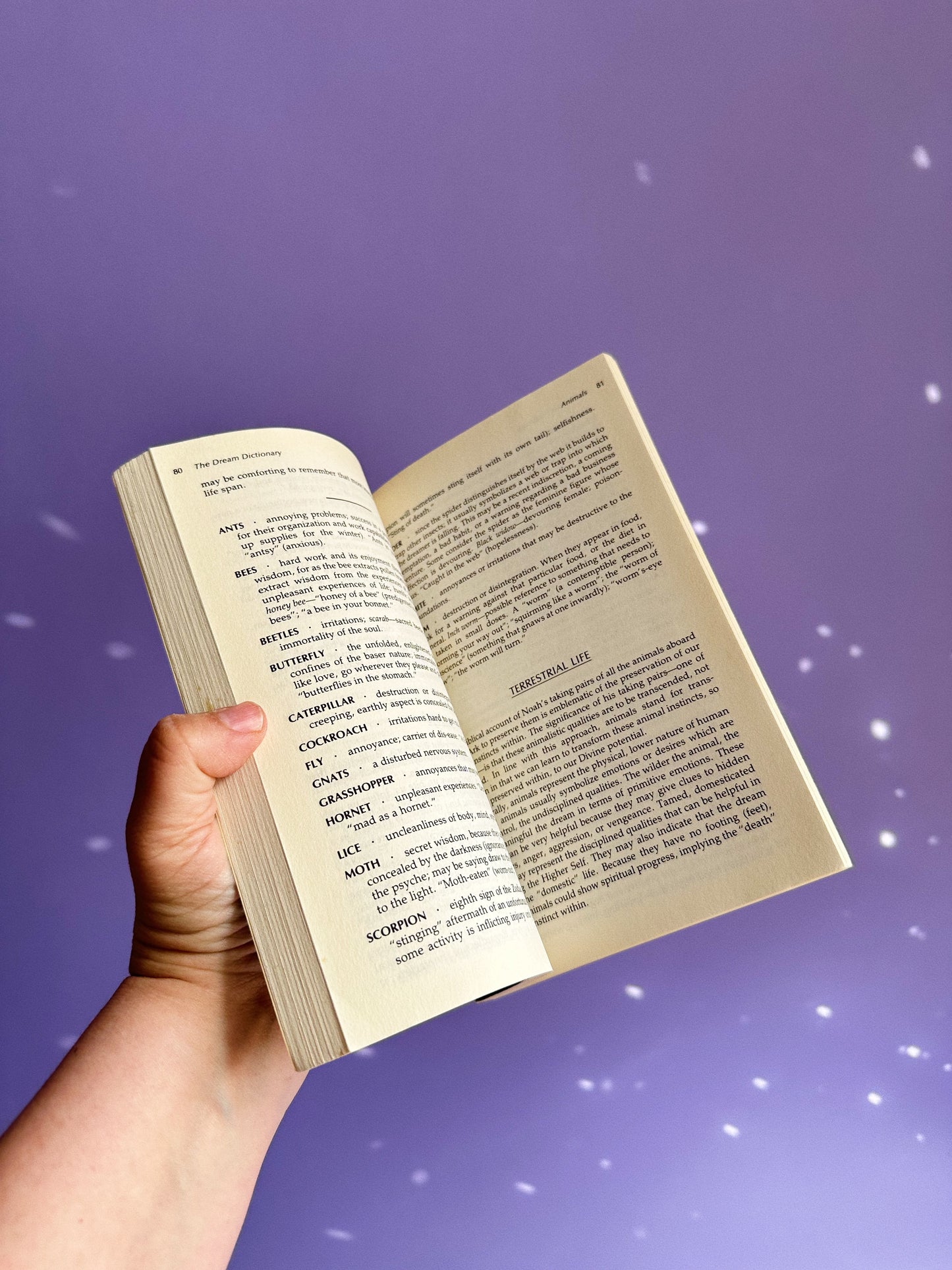 Vintage The Dream Dictionary Soft Cover