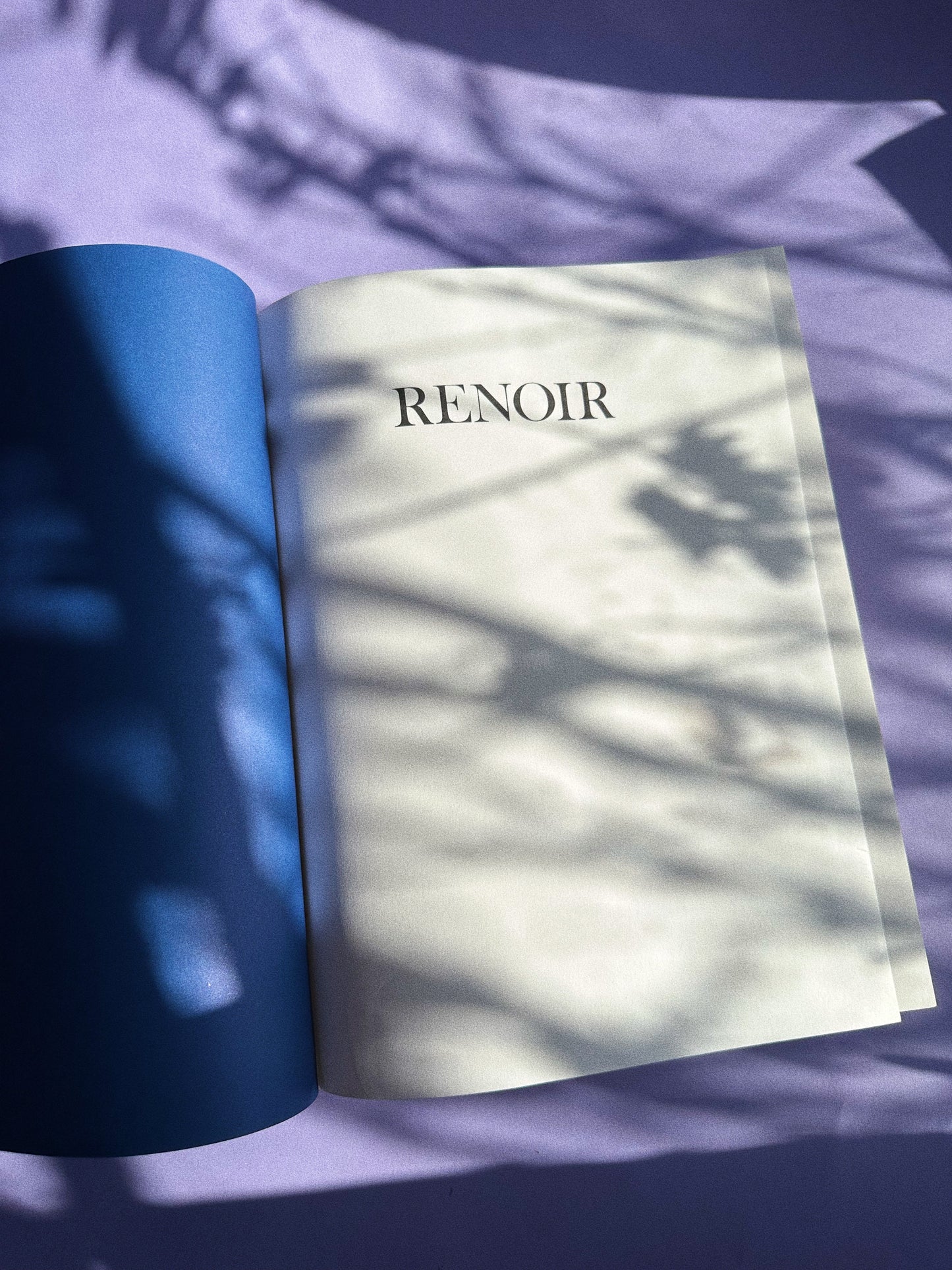 Huge Renoir A Retrospective Hardcover Coffee Table Book