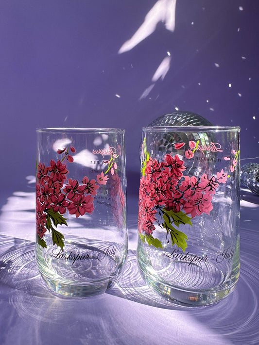 Vintage Floral Brockway Larkspur July Glass Tumblers