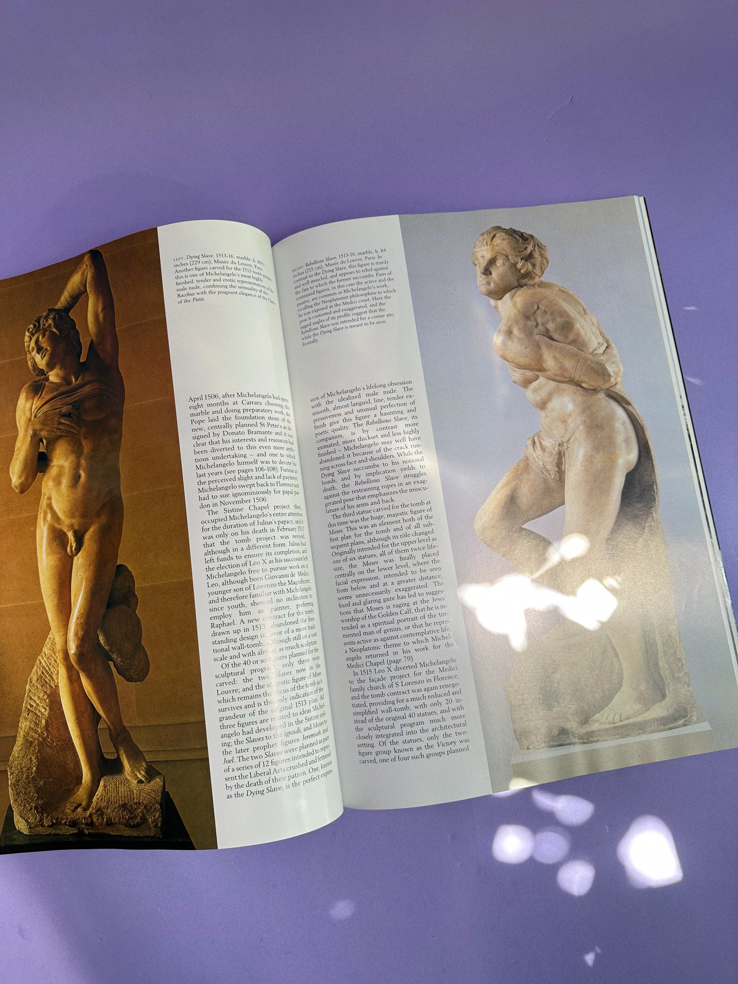Softcover Michelangelo Art Coffee Table Book by Jesse McDonald