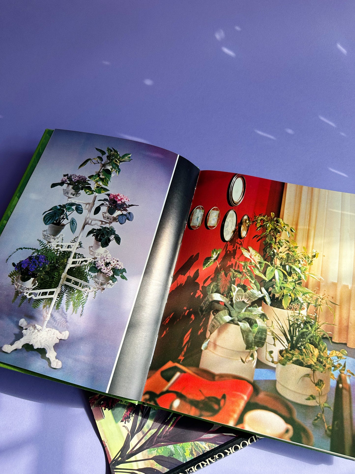 Houseplants & Indoor Gardening by Cyril C. Harris (1973, Hardcover)