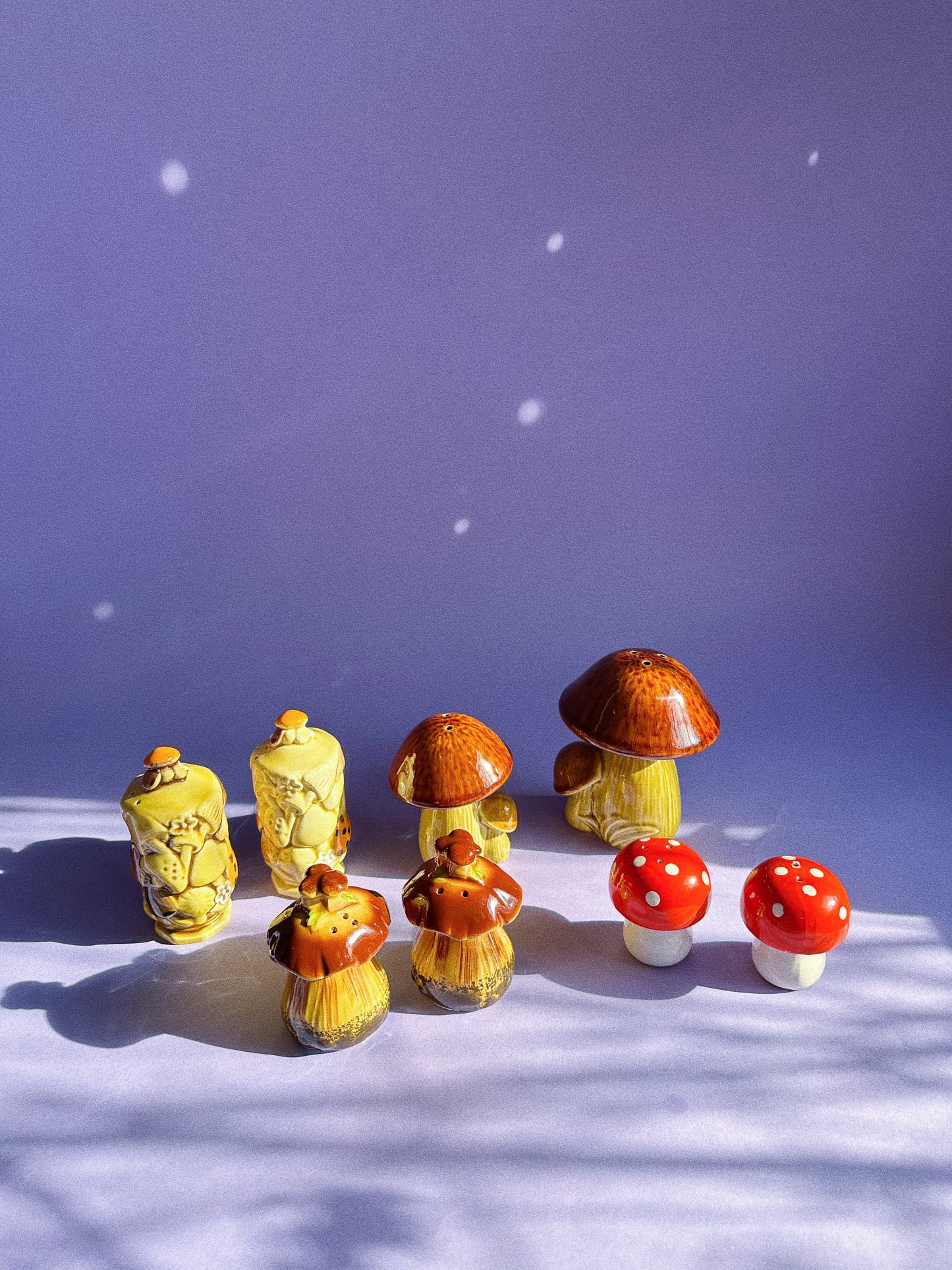 Vintage Mushroom Salt & Pepper Shakers