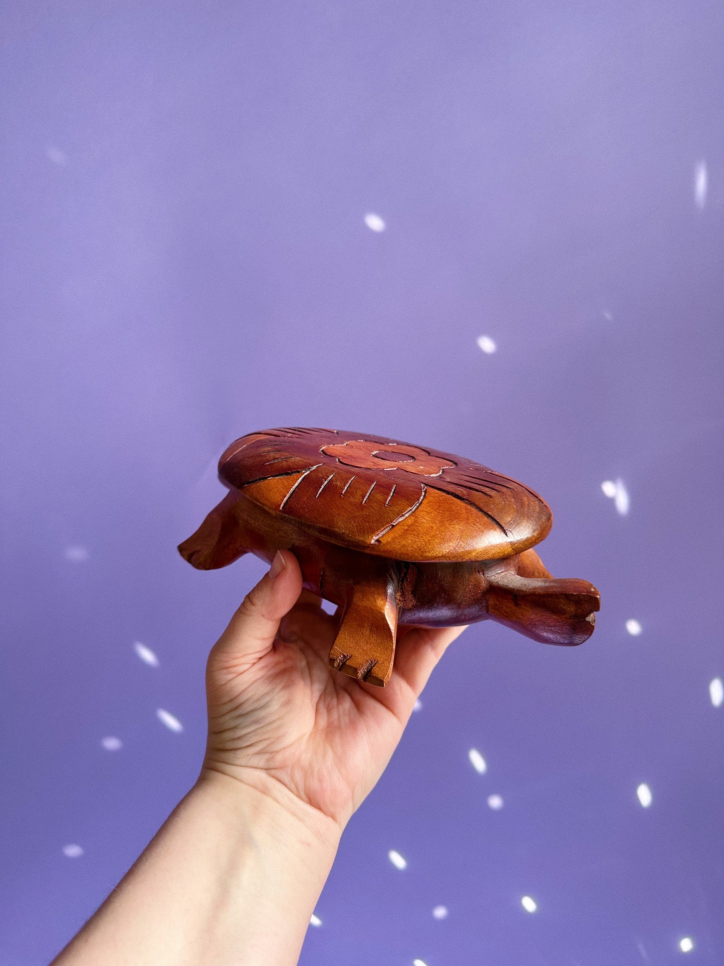 Vintage Large Handcarved Wooden Turtle Boxes