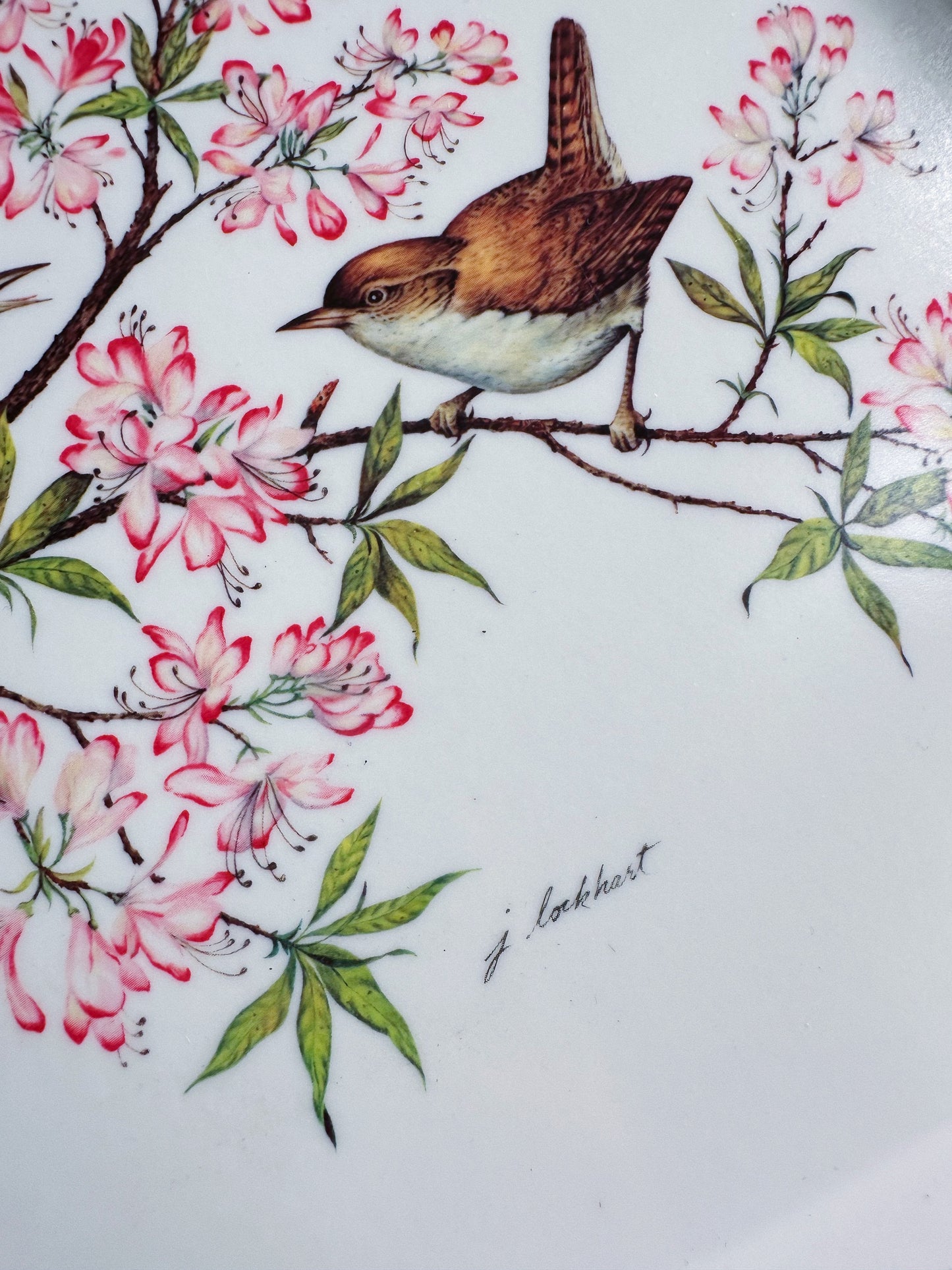 Vintage Wren Bird Melanine Tray / Platter