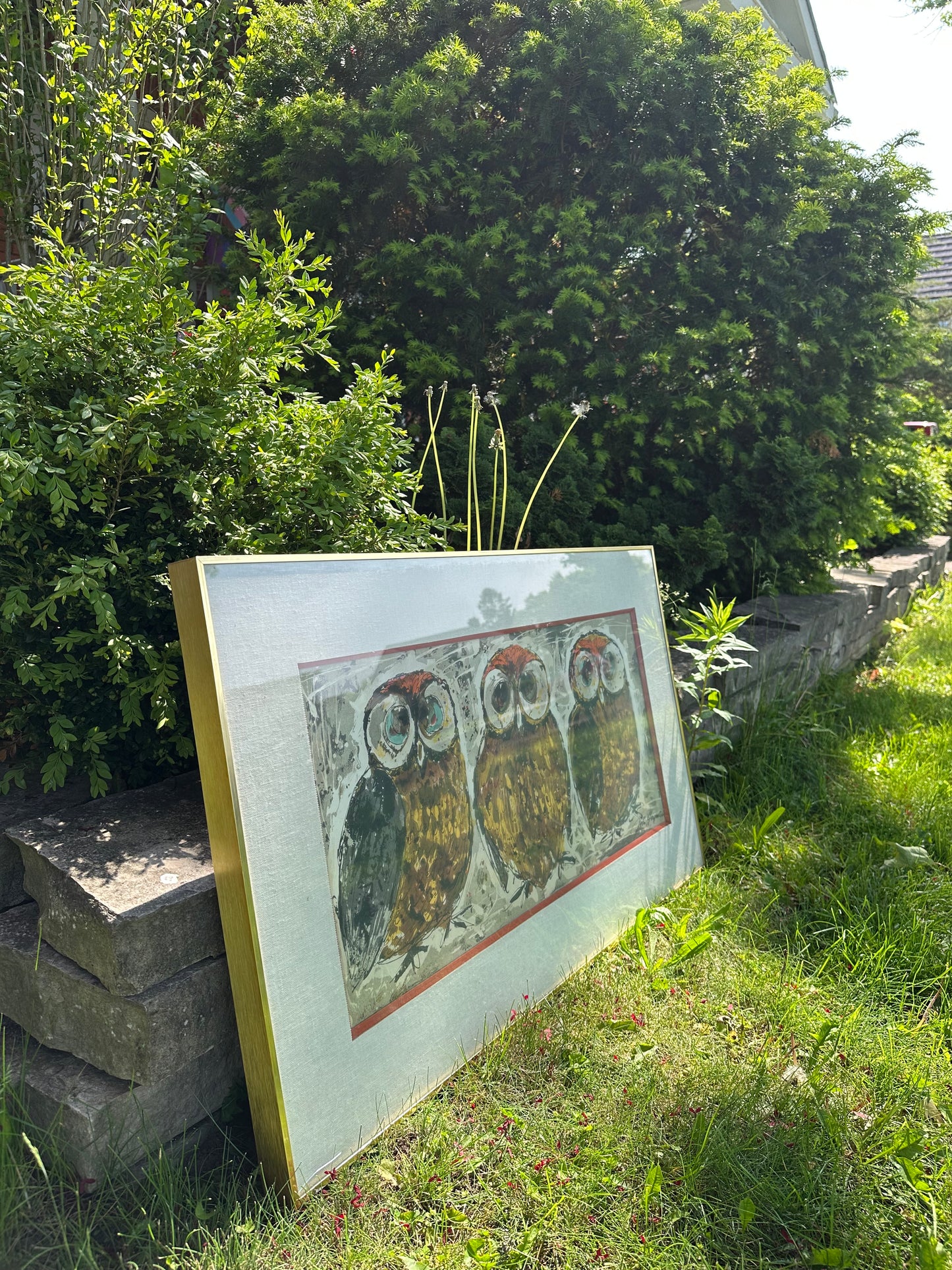 Large MCM 3 Owls Matted & Framed Art by John Hoyman 1960s