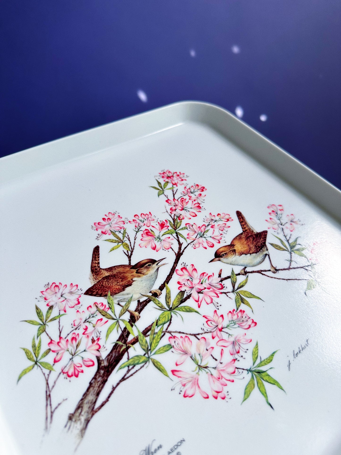Vintage Wren Bird Melanine Tray / Platter