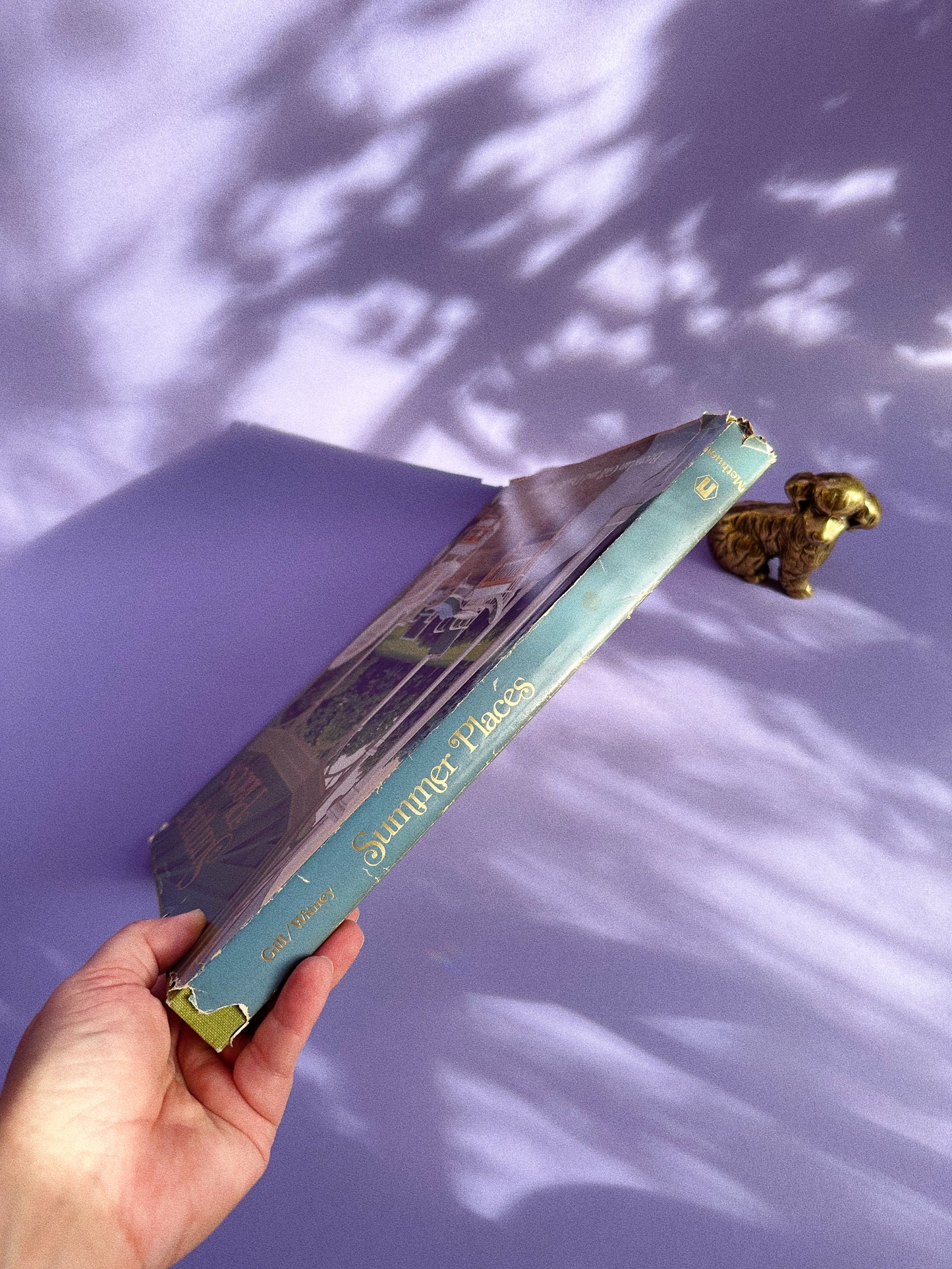 Vintage Summer Places Hardcover Coffee Table Book